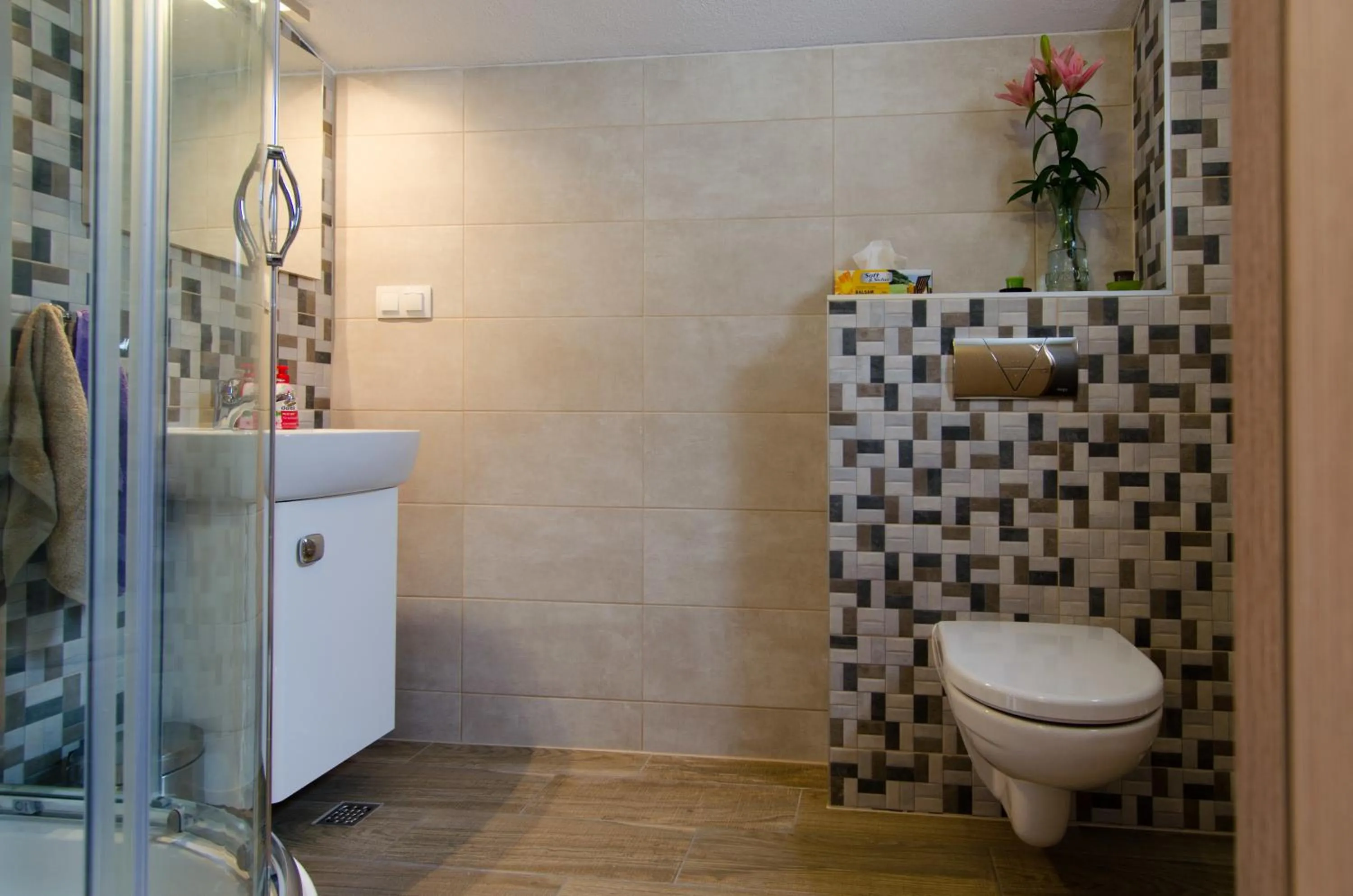 Bathroom in Apartment Danijela