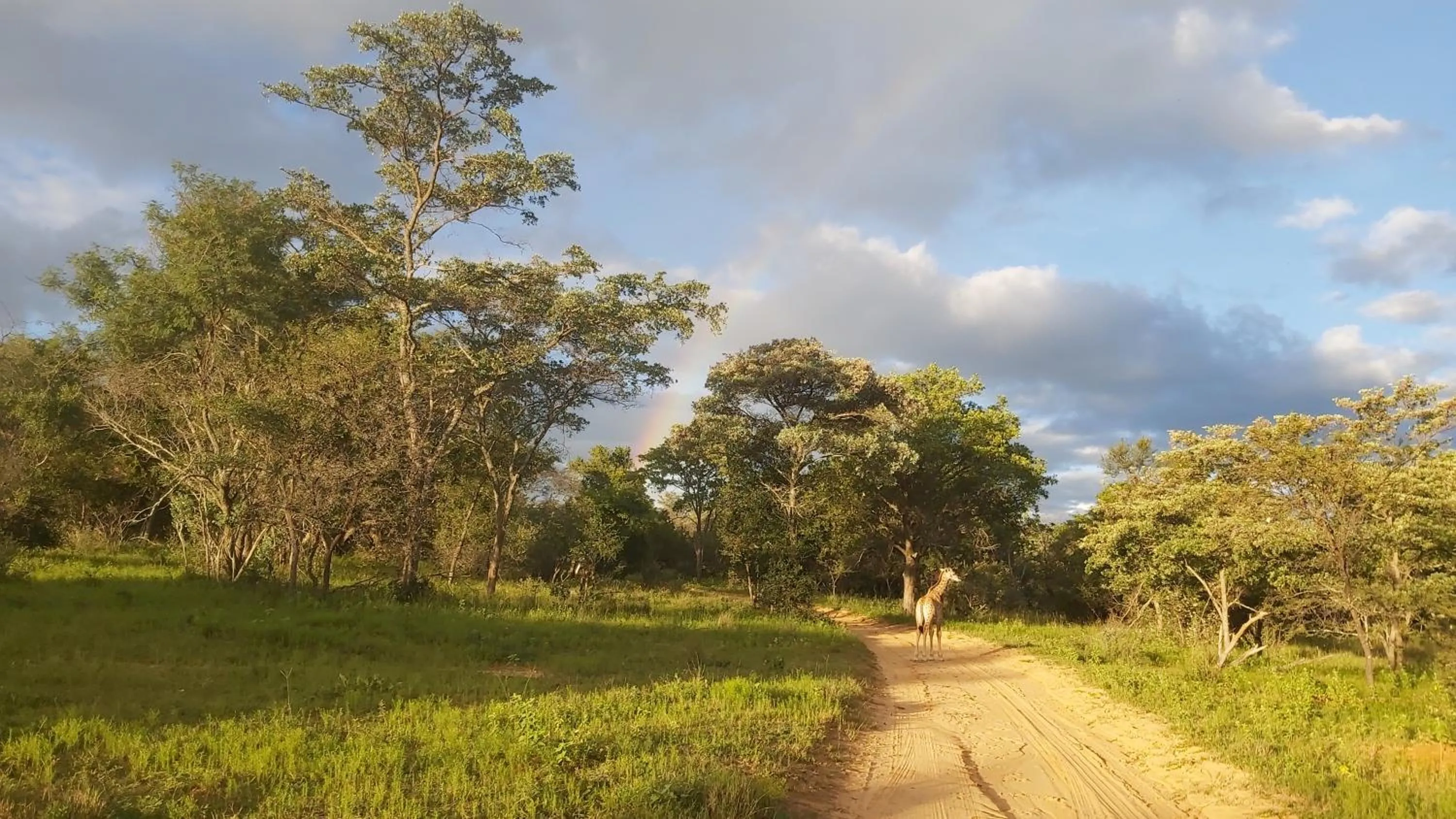 Natural landscape in Izintaba Private Game Reserve Waterberg