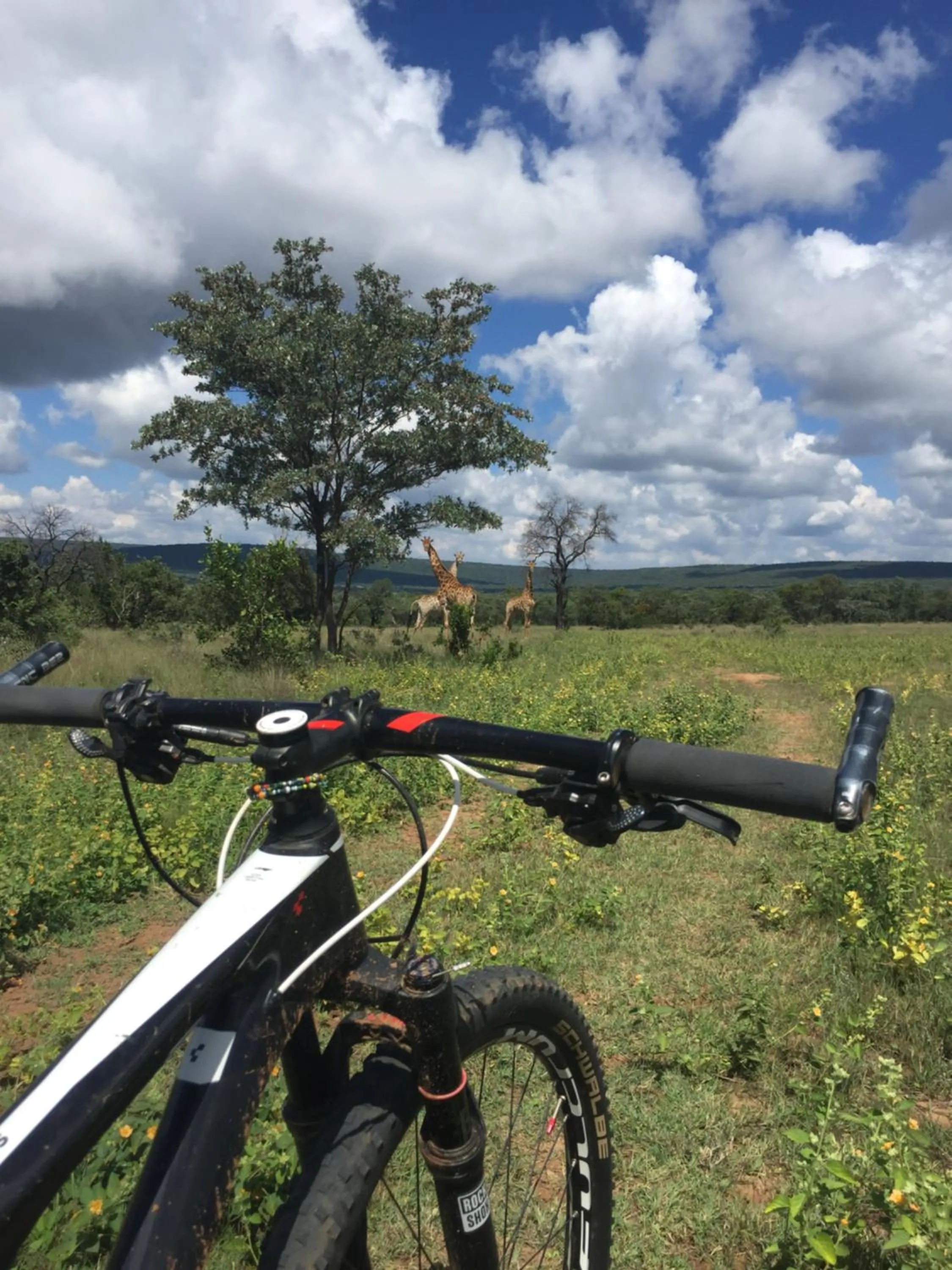 Natural landscape in Izintaba Private Game Reserve Waterberg