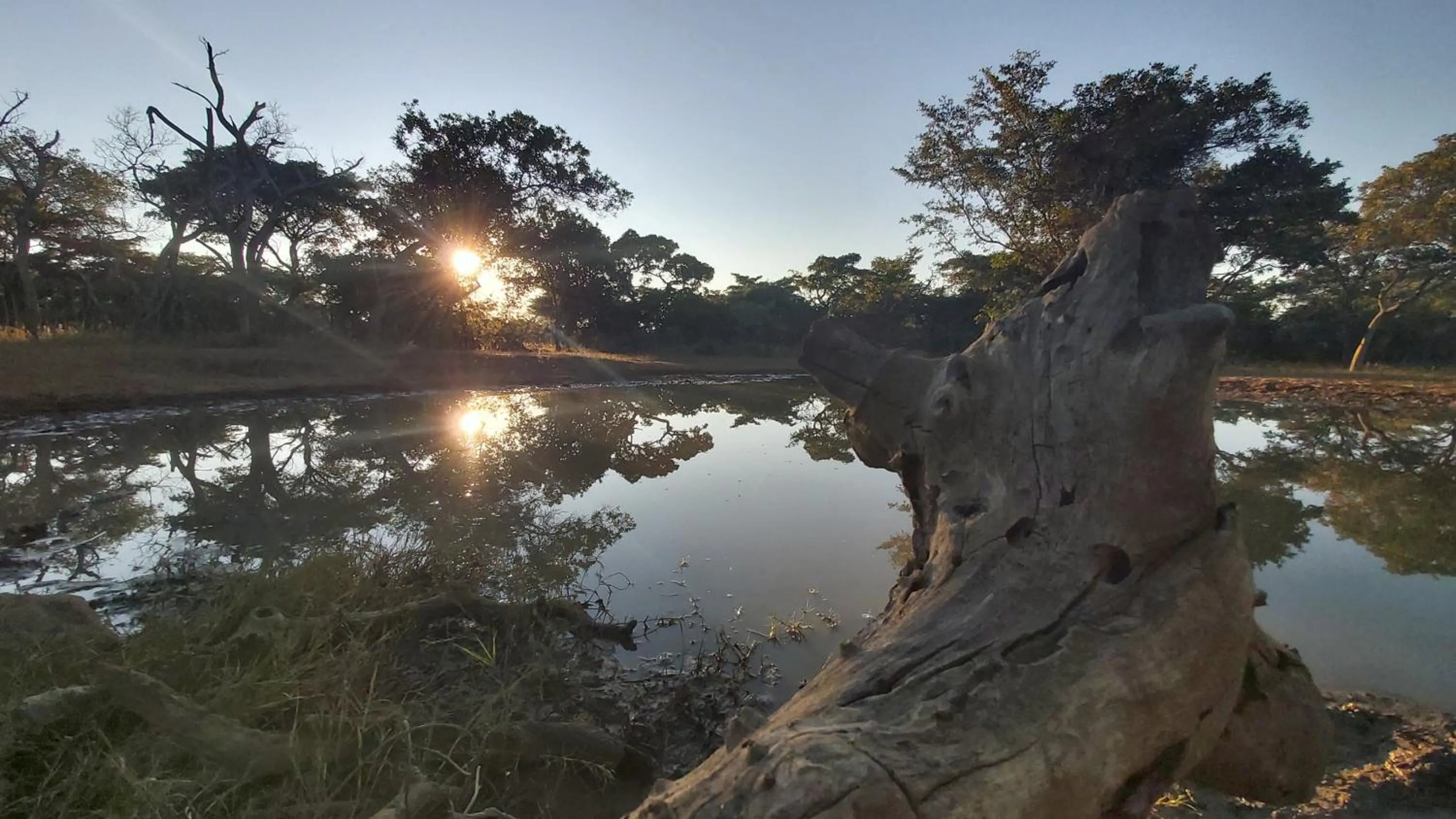 Natural landscape in Izintaba Private Game Reserve Waterberg