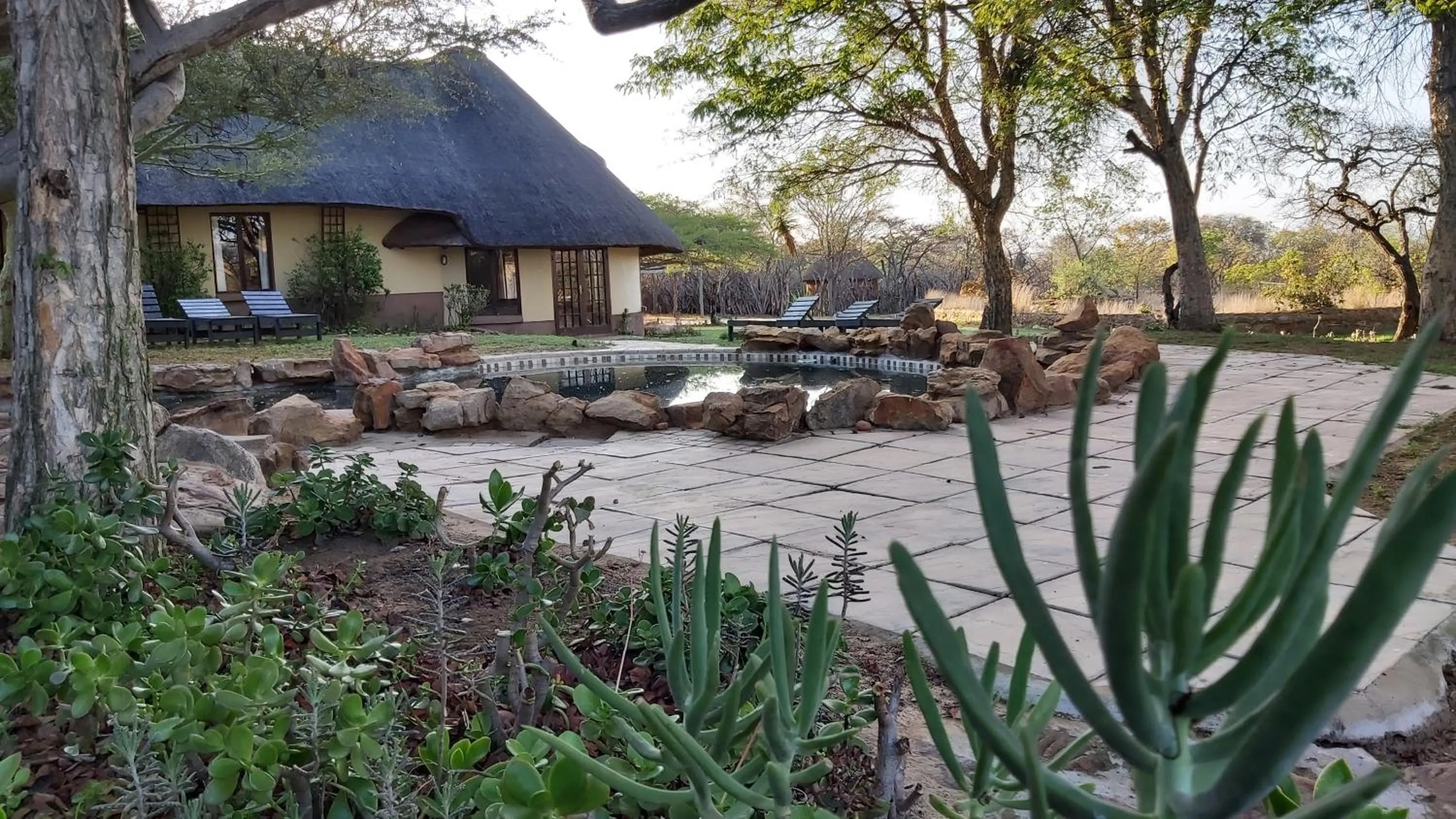 Garden in Izintaba Private Game Reserve Waterberg