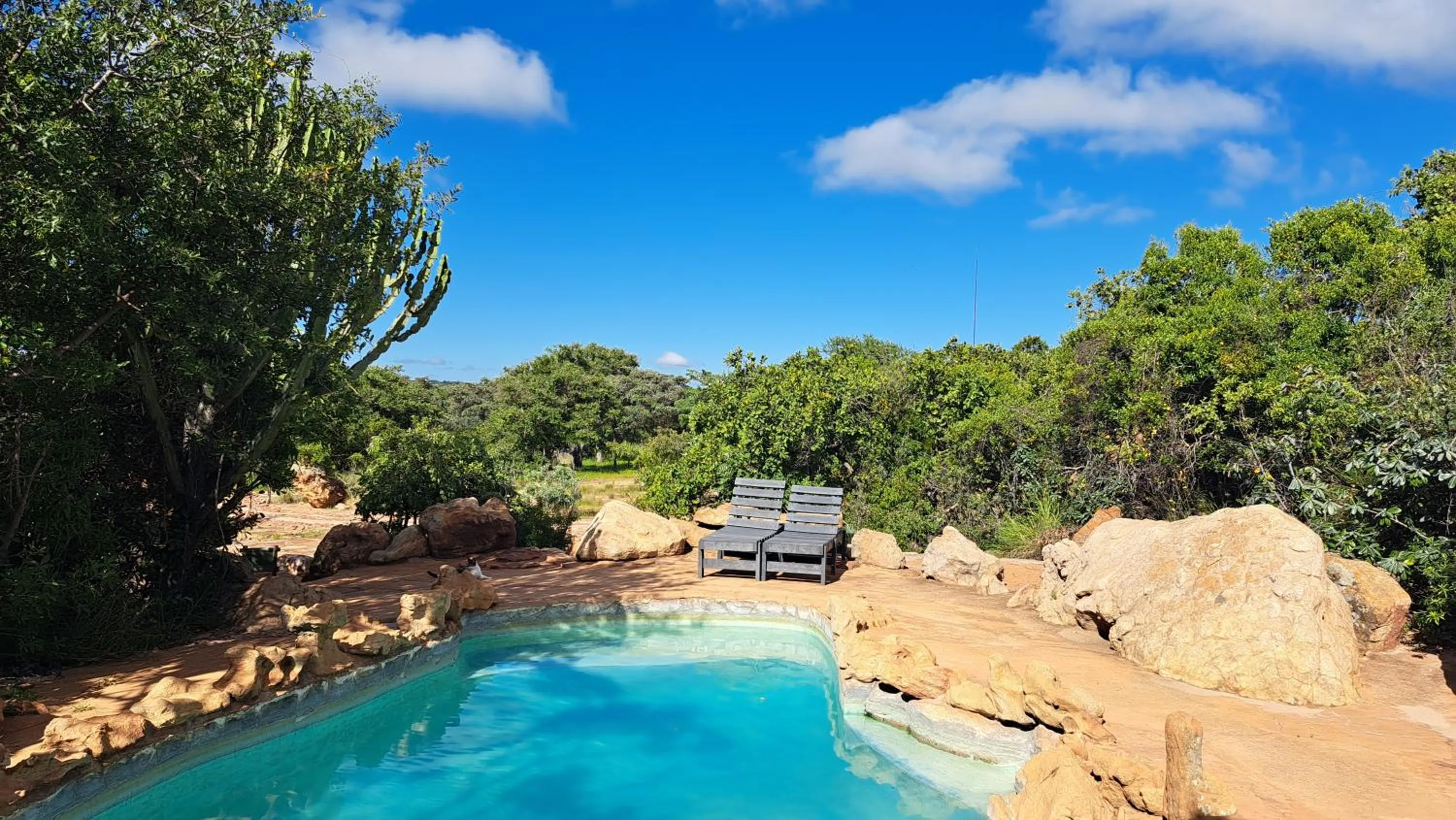 Natural landscape in Izintaba Private Game Reserve Waterberg