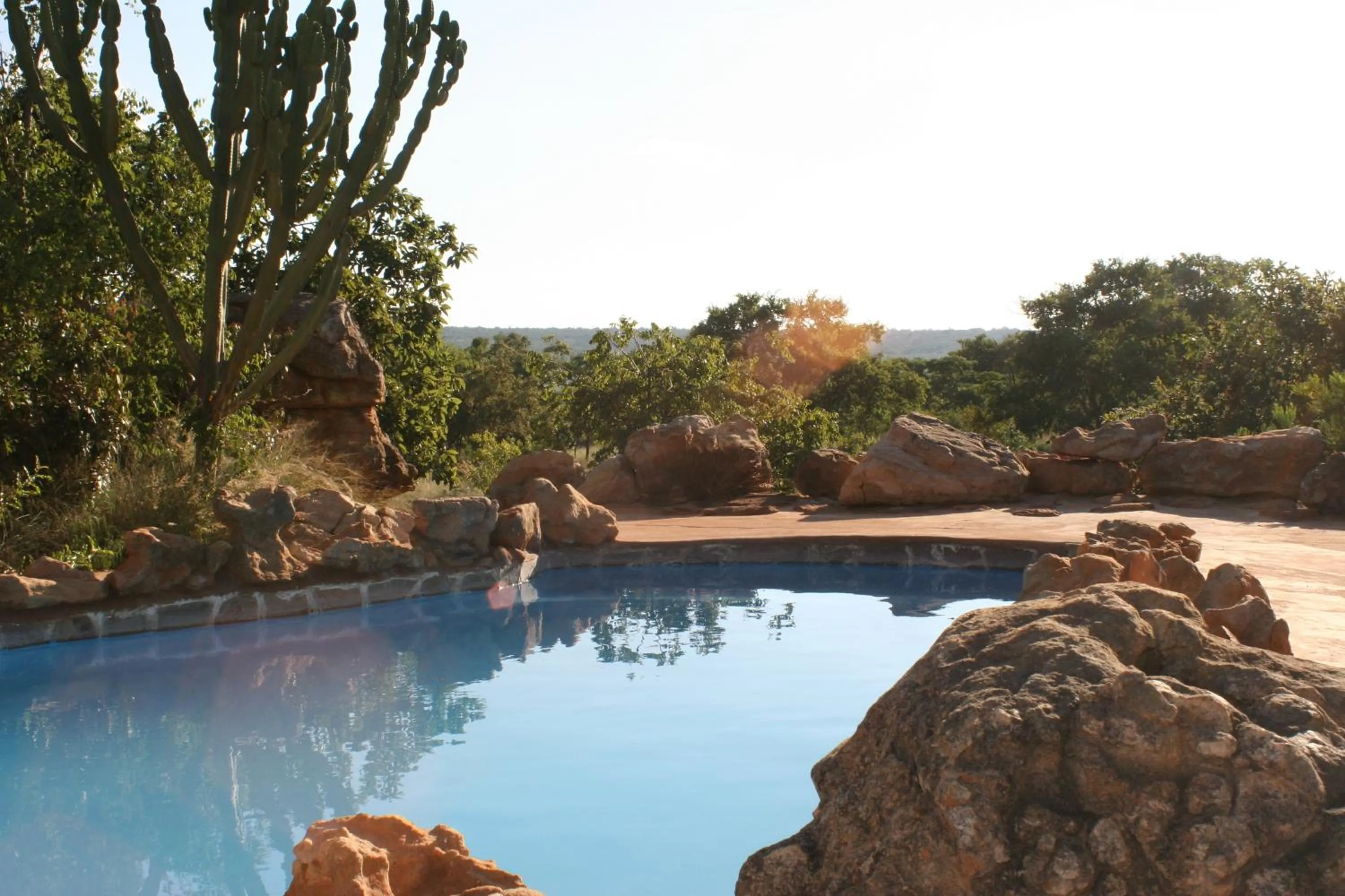 Natural landscape in Izintaba Private Game Reserve Waterberg