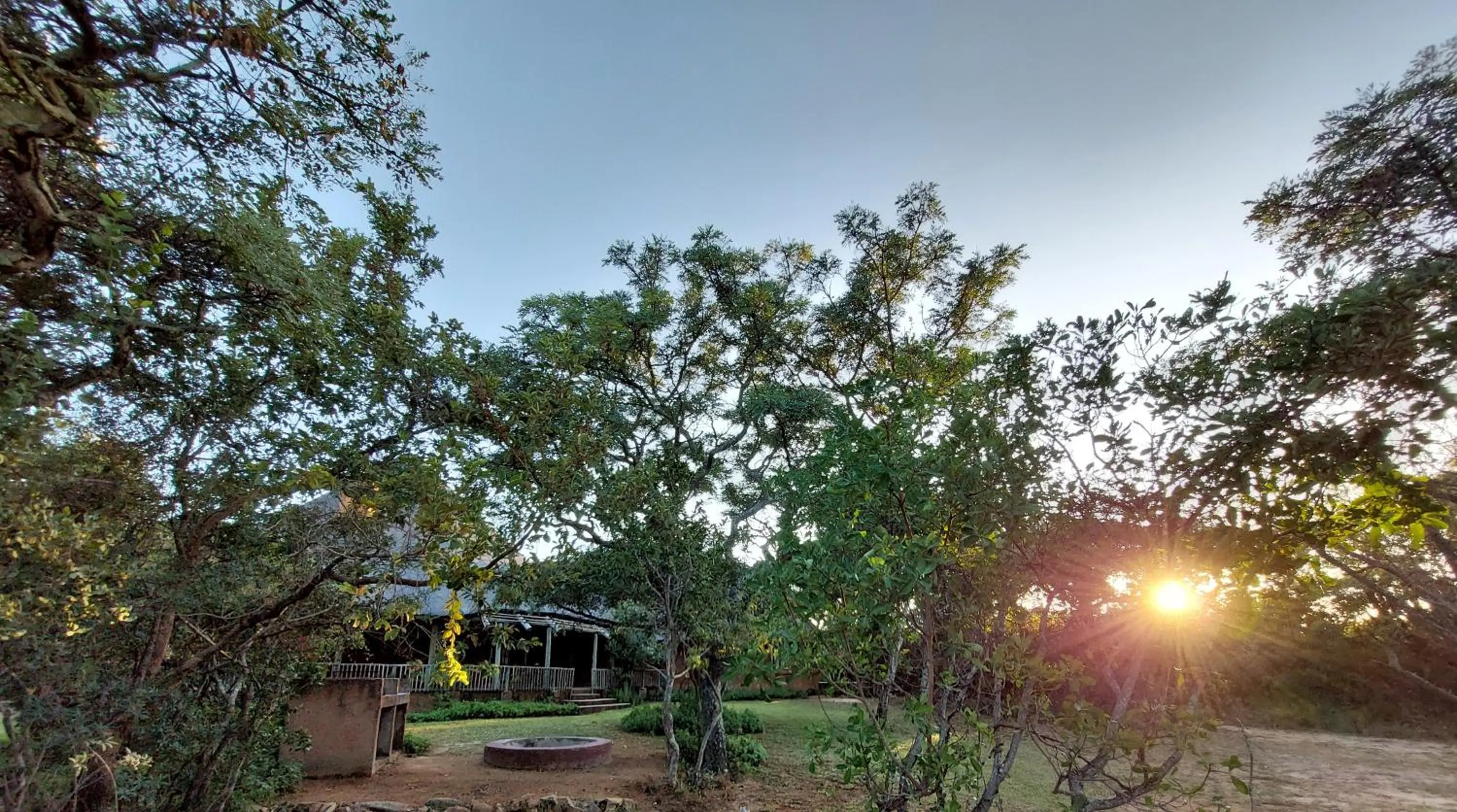 Garden in Izintaba Private Game Reserve Waterberg