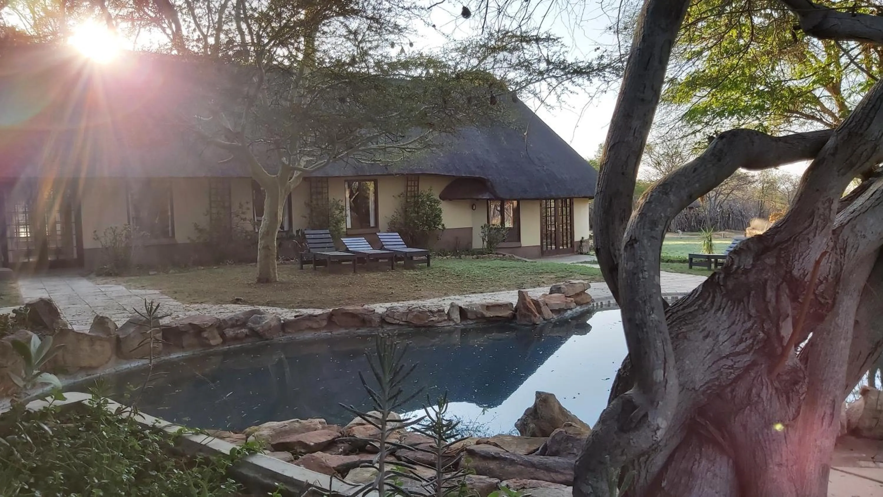 Swimming pool in Izintaba Private Game Reserve Waterberg
