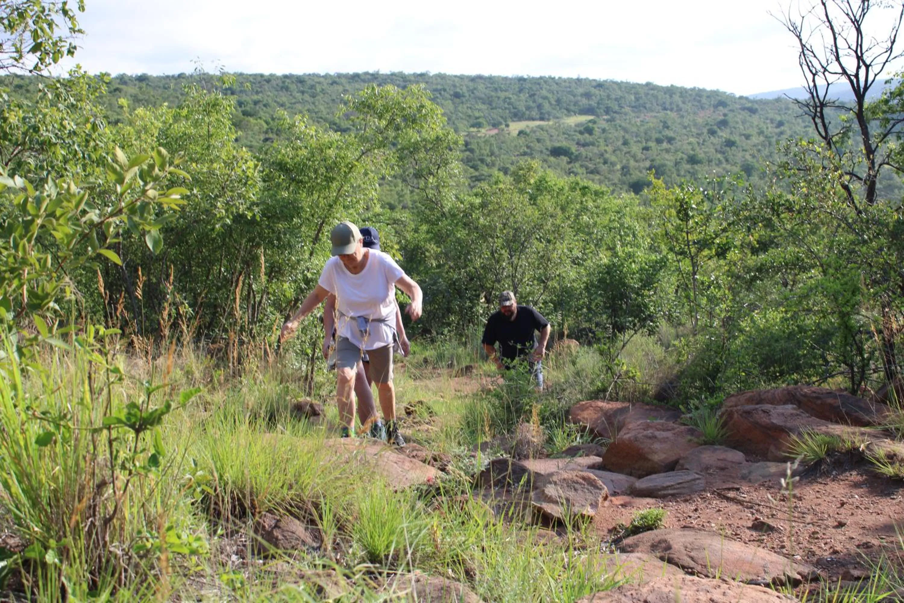 Natural landscape in Izintaba Private Game Reserve Waterberg