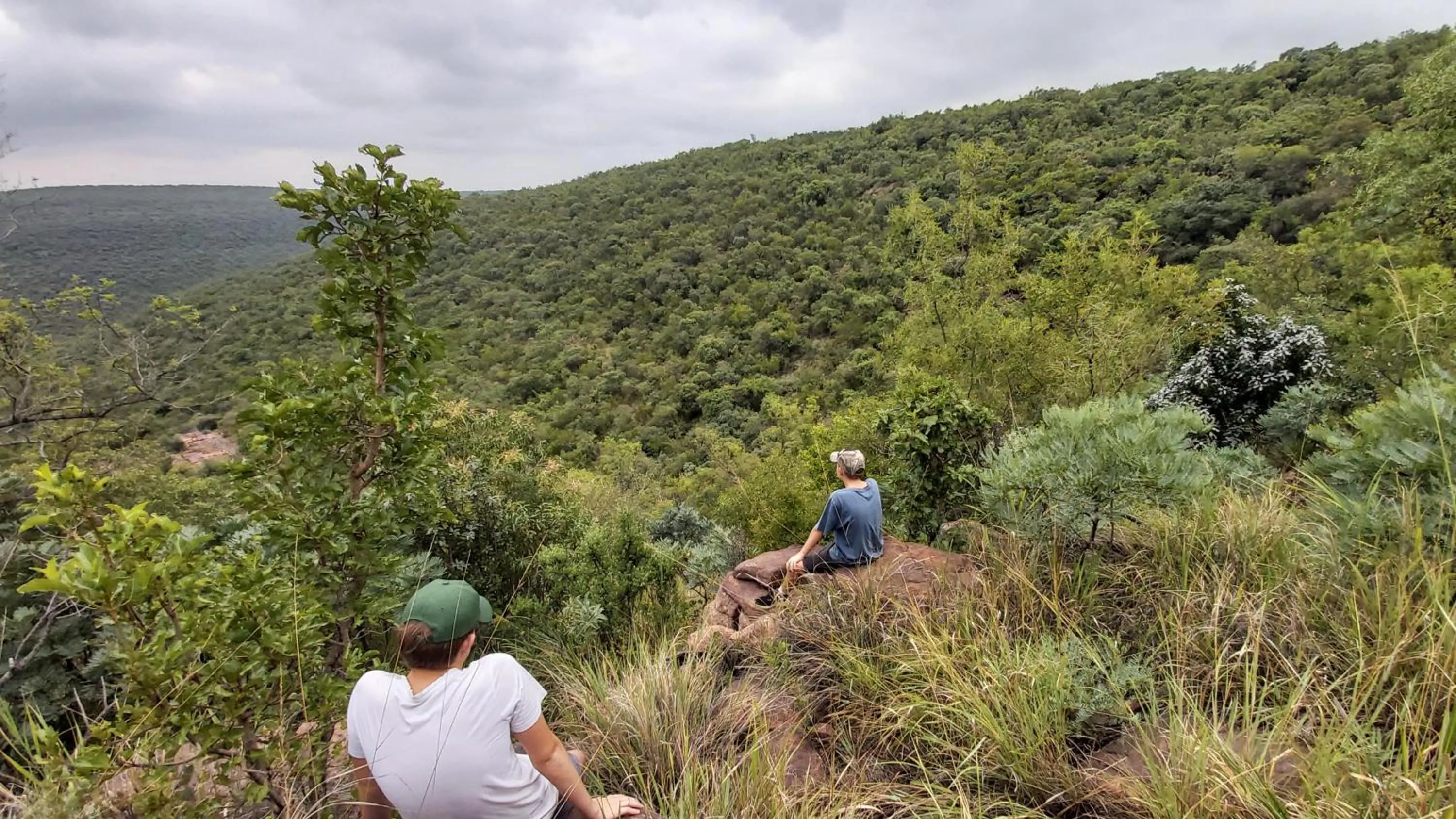 Natural landscape in Izintaba Private Game Reserve Waterberg