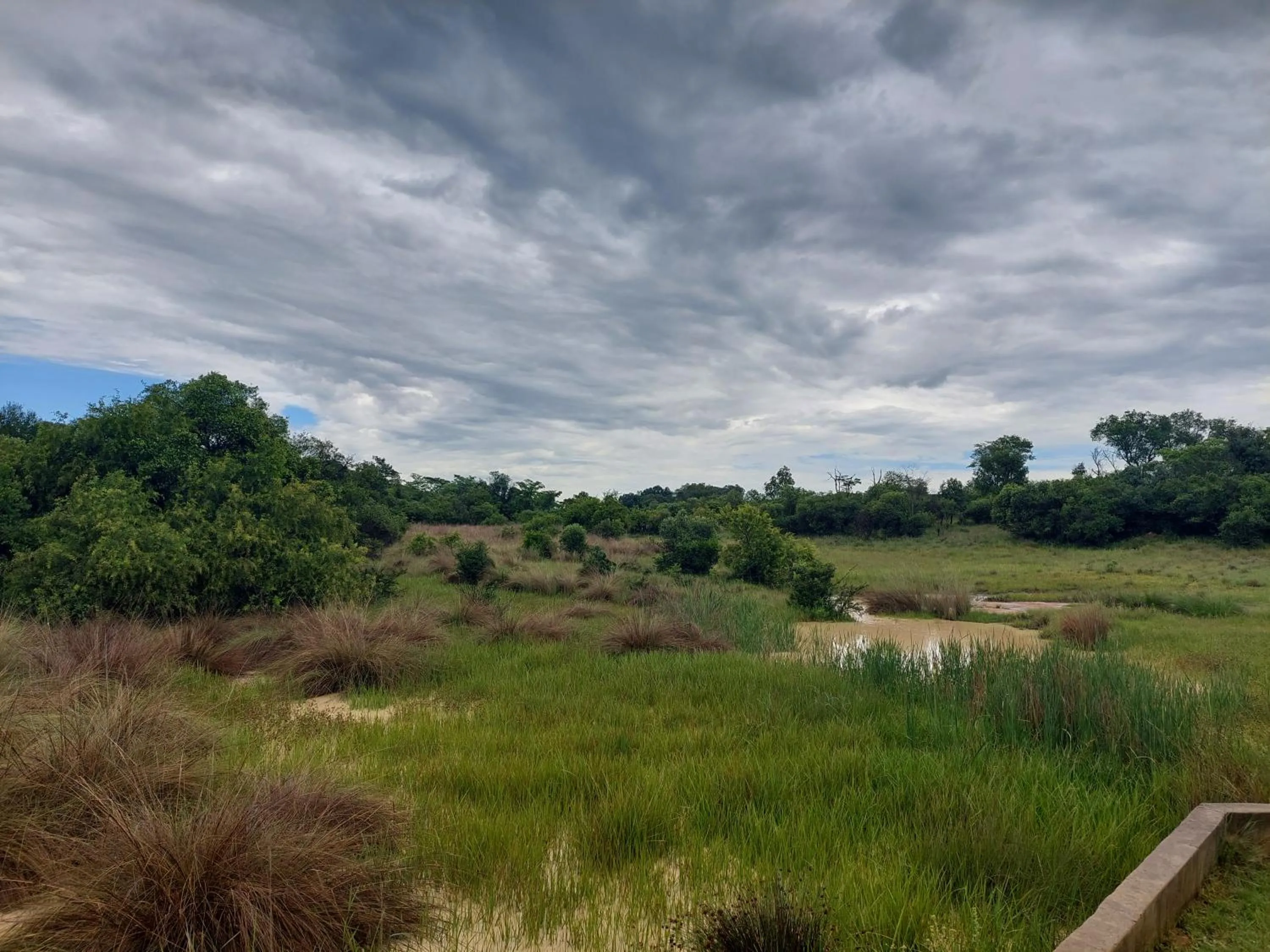 Natural landscape in Izintaba Private Game Reserve Waterberg