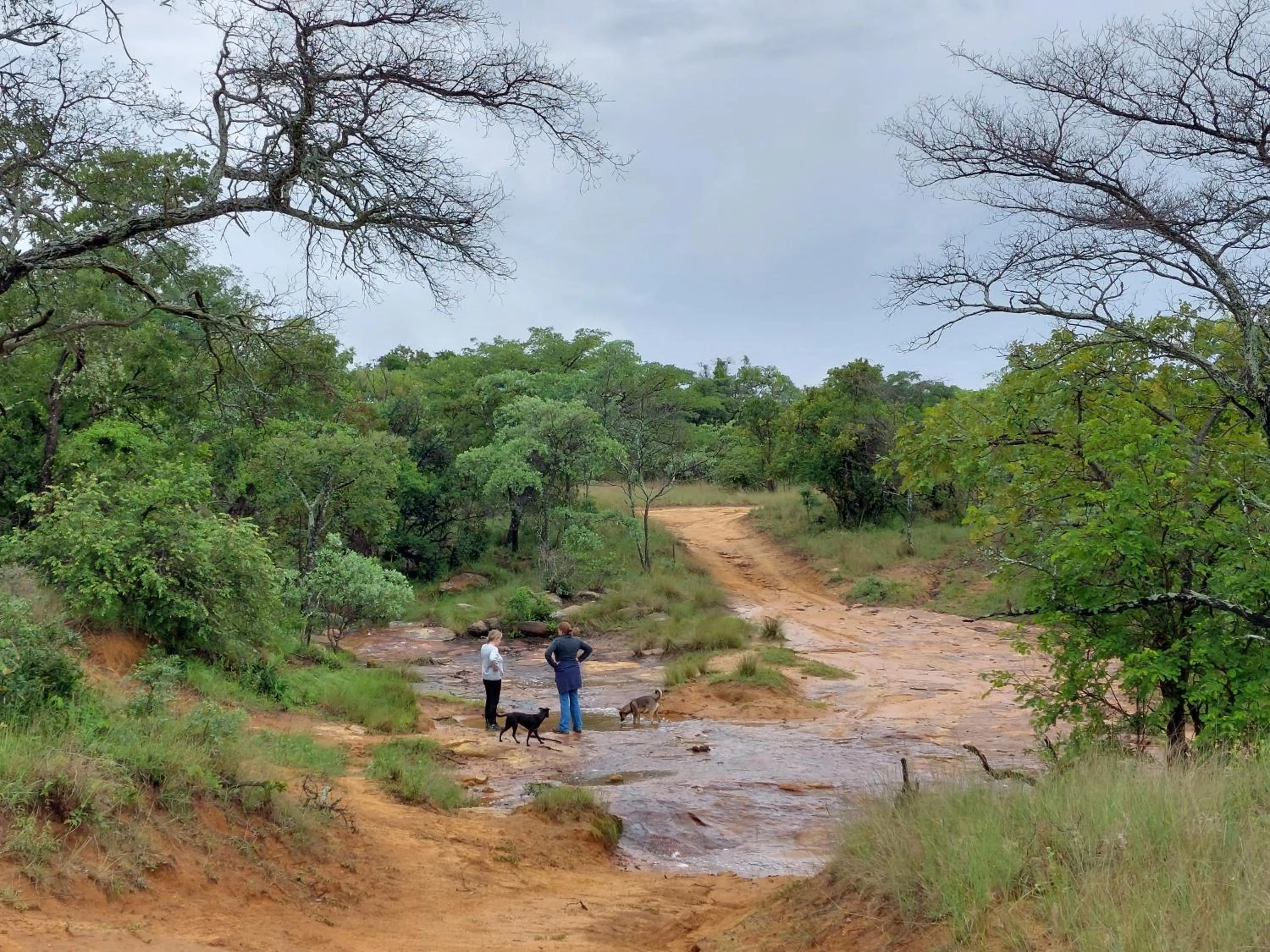 Natural landscape in Izintaba Private Game Reserve Waterberg