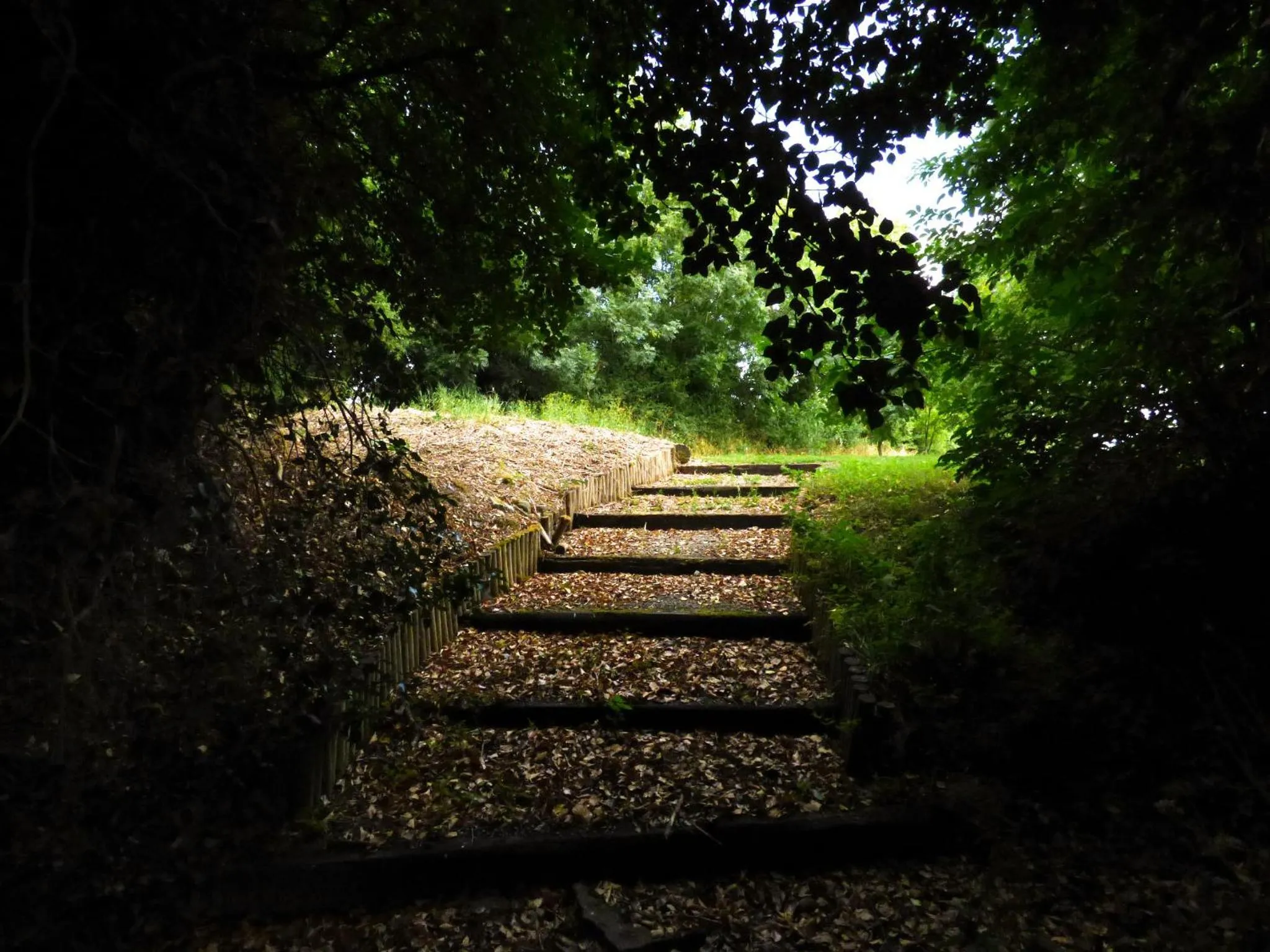Natural landscape in Ash House Bed and Breakfast
