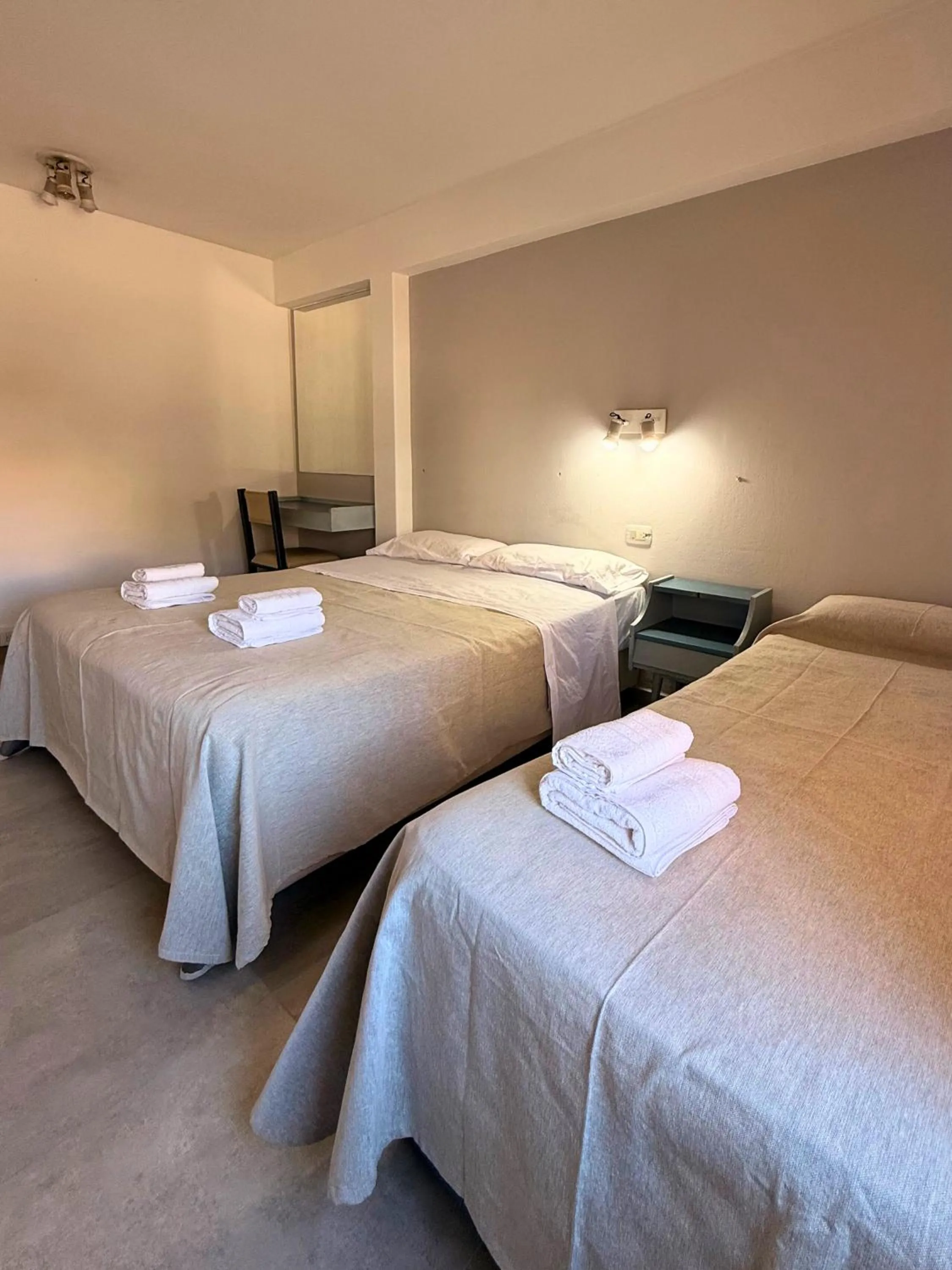 Triple Room in Hotel Montecarlo PSH