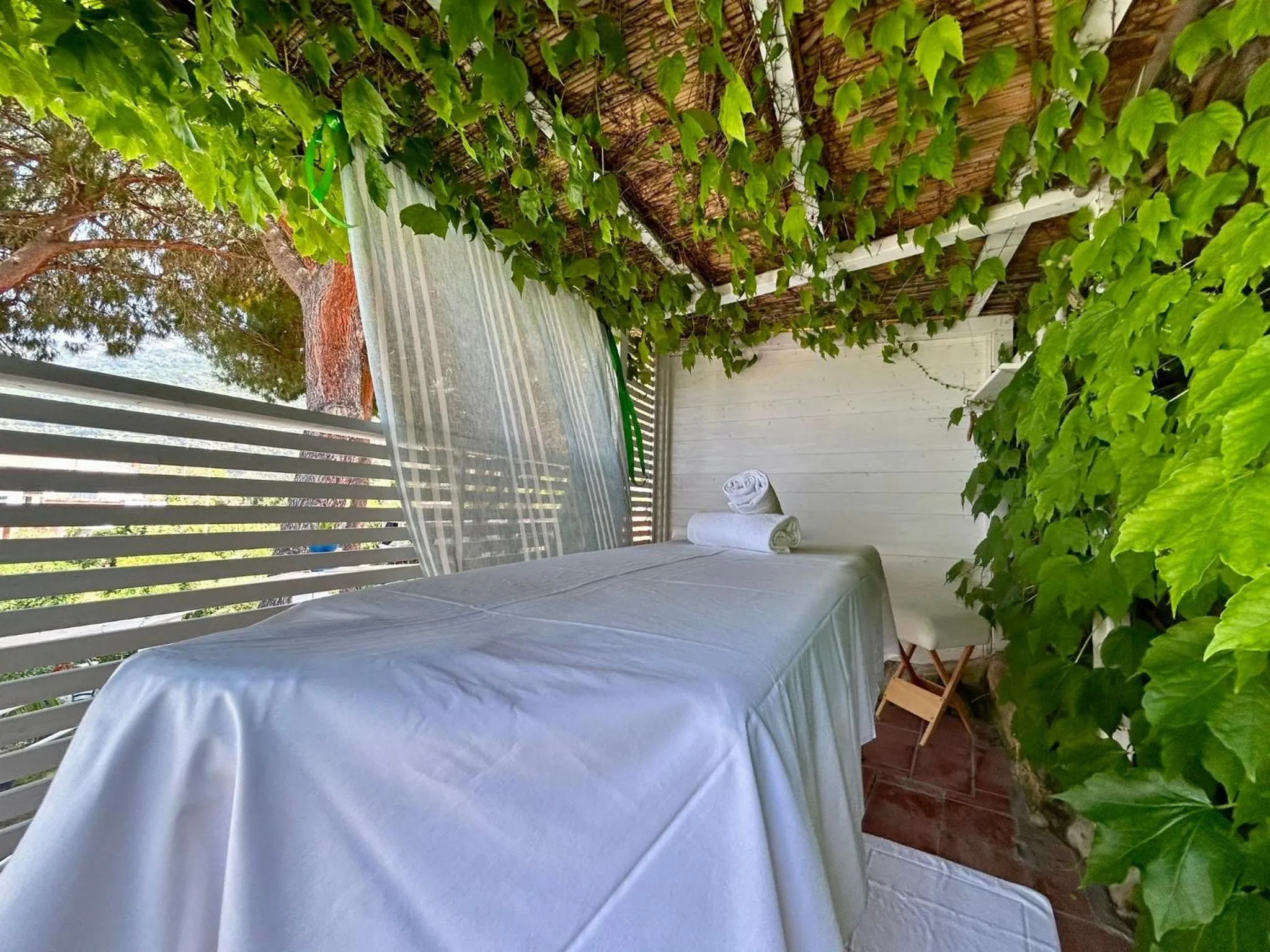 Garden in Hotel Sant'Andrea