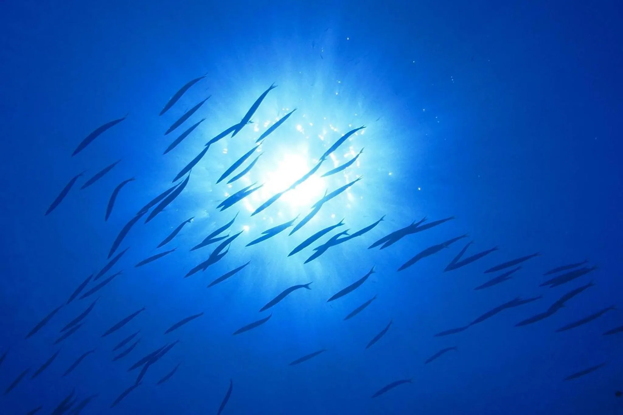 Natural landscape in Hotel Sant'Andrea