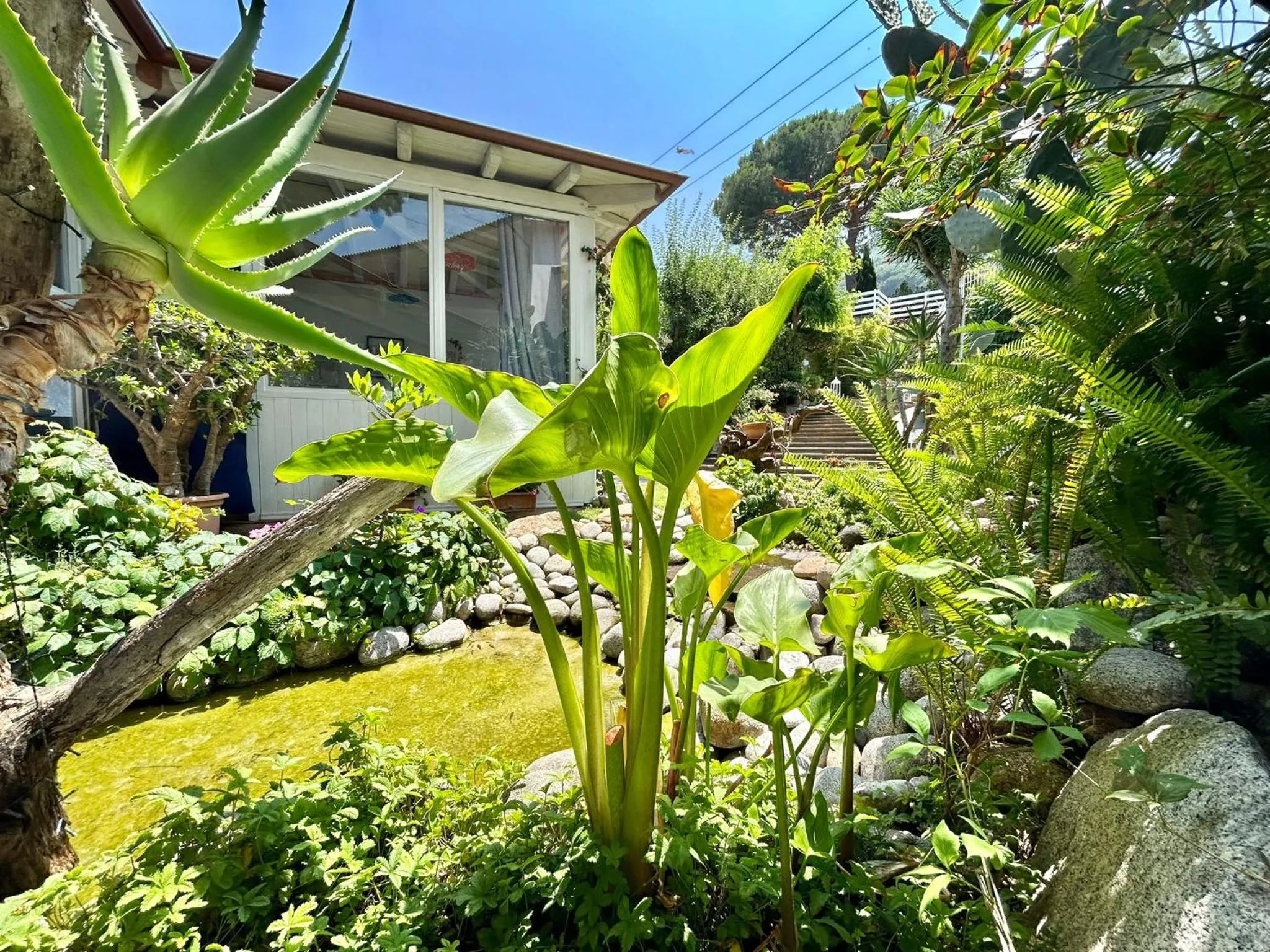 Garden in Hotel Sant'Andrea