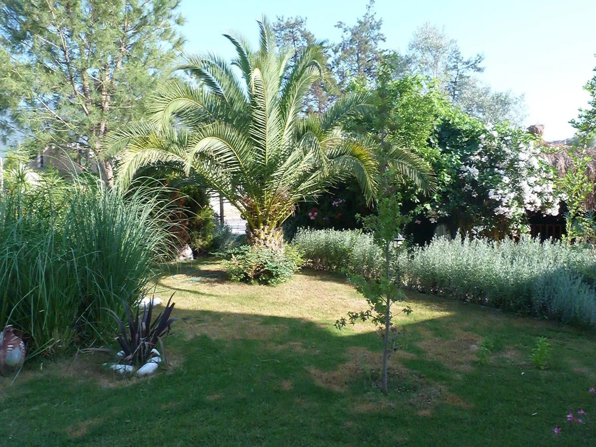Garden in Telmessos Select Hotel - Adult Only (+16) - All Inclusive