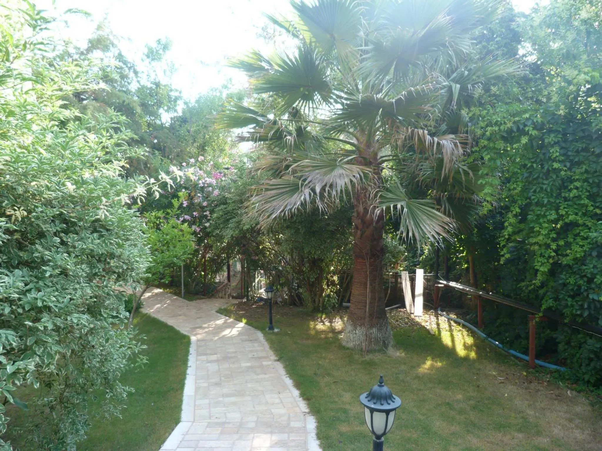 Garden in Telmessos Select Hotel - Adult Only (+16) - All Inclusive