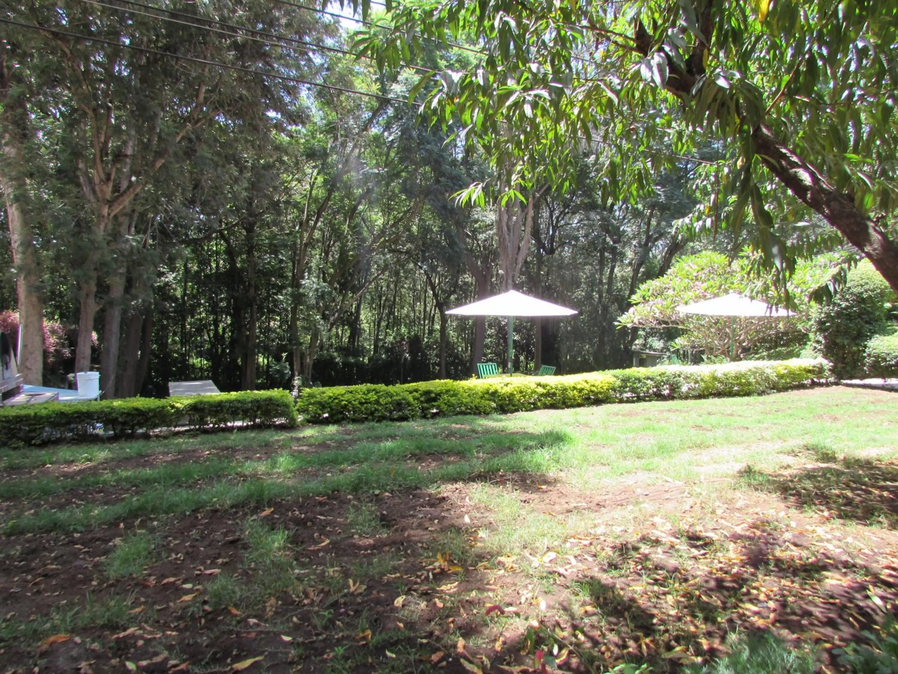 Garden in Equator Hotel