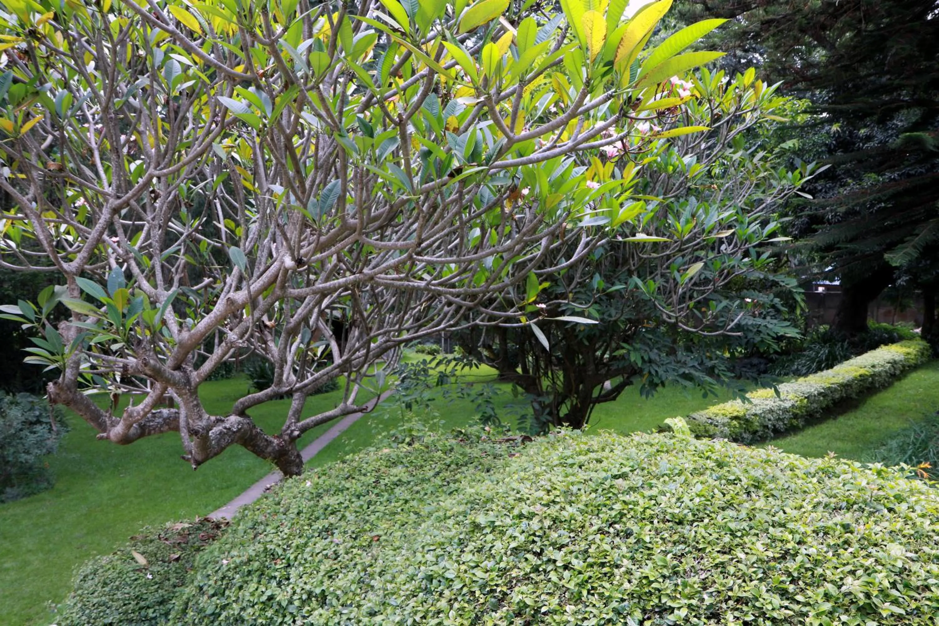 Decorative detail in Equator Hotel