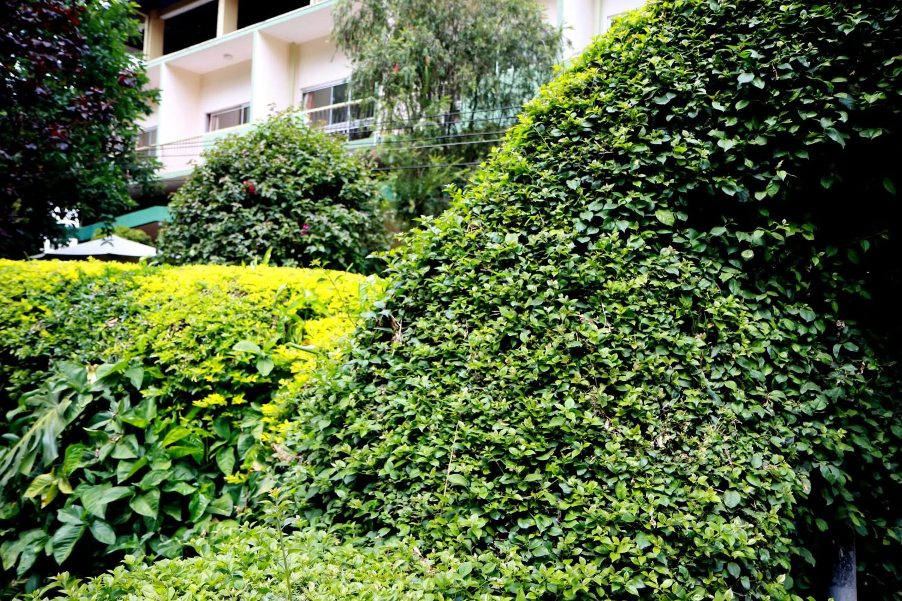 Decorative detail in Equator Hotel