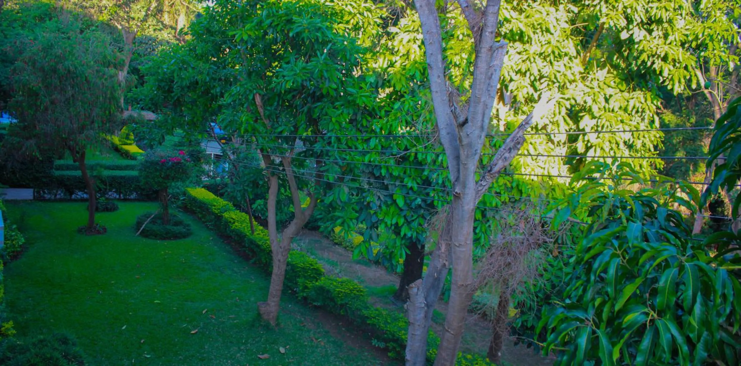 Garden in Equator Hotel