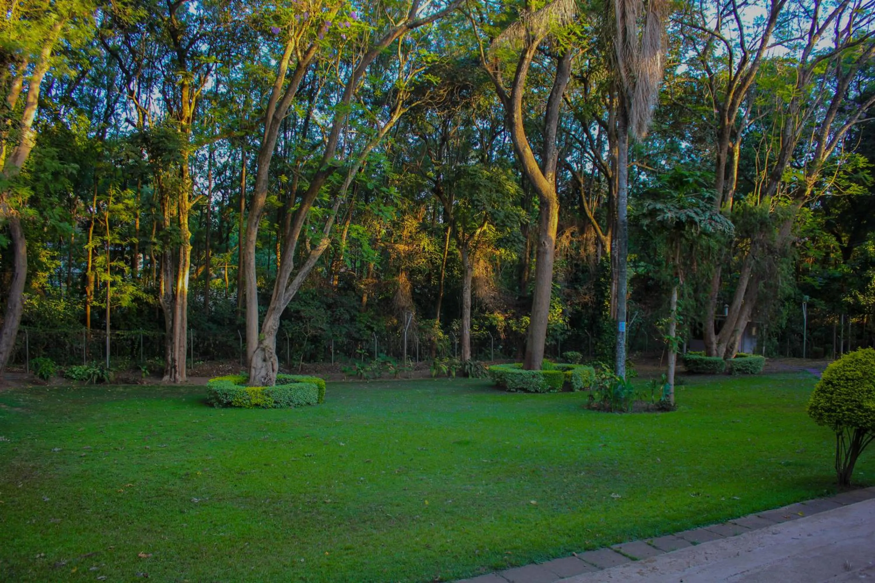 Garden in Equator Hotel