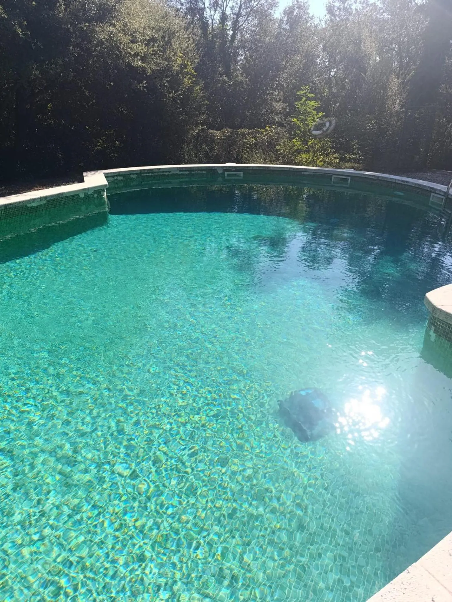 Swimming pool in Mas Pitre
