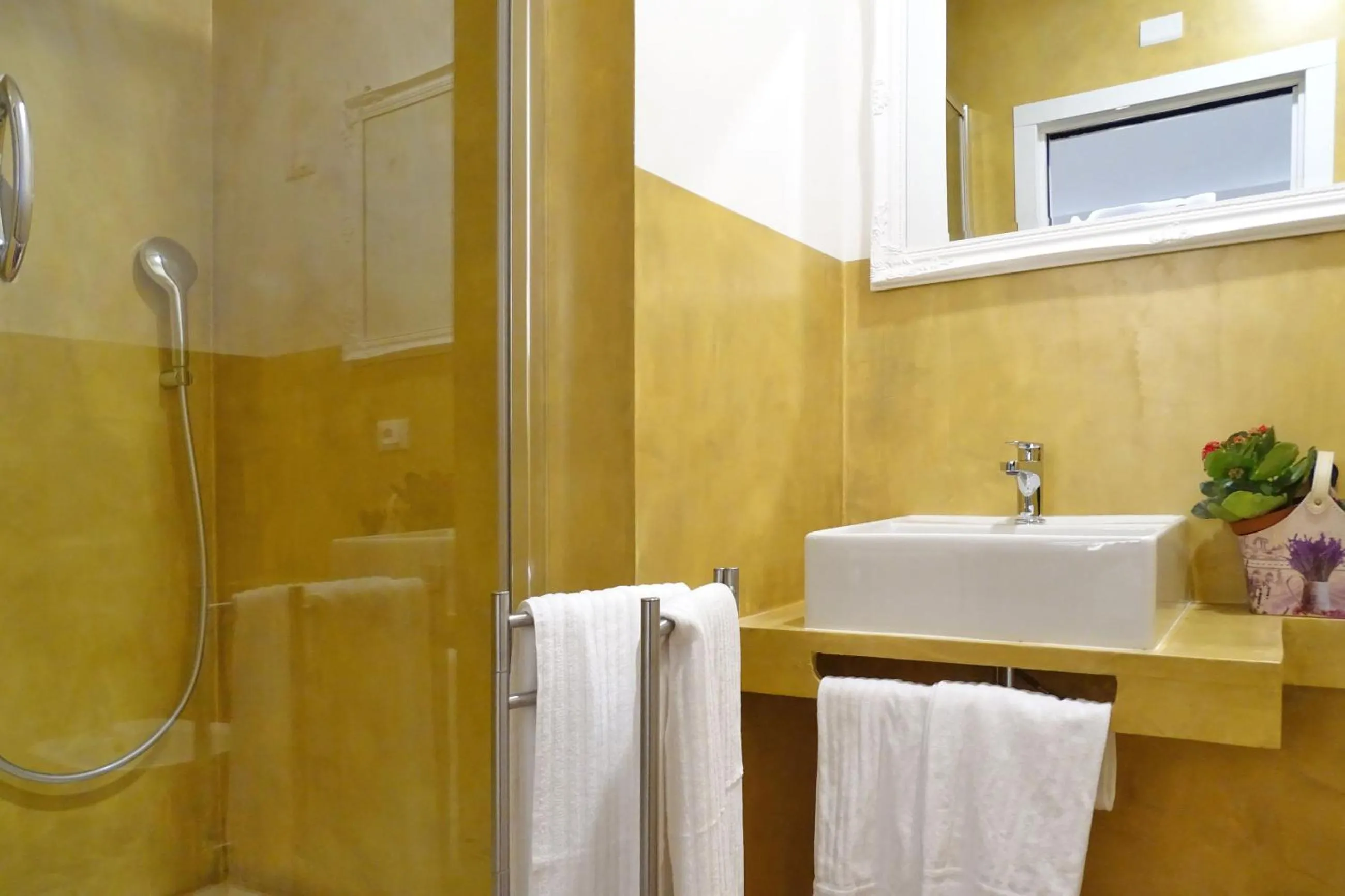 Shower in A Star Inn