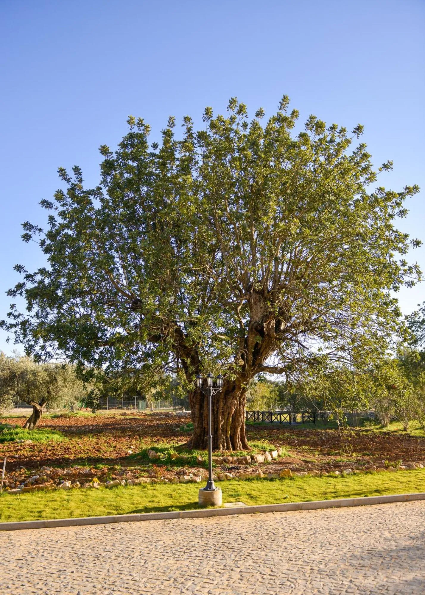 Place of worship in Quinta dos Tesouros