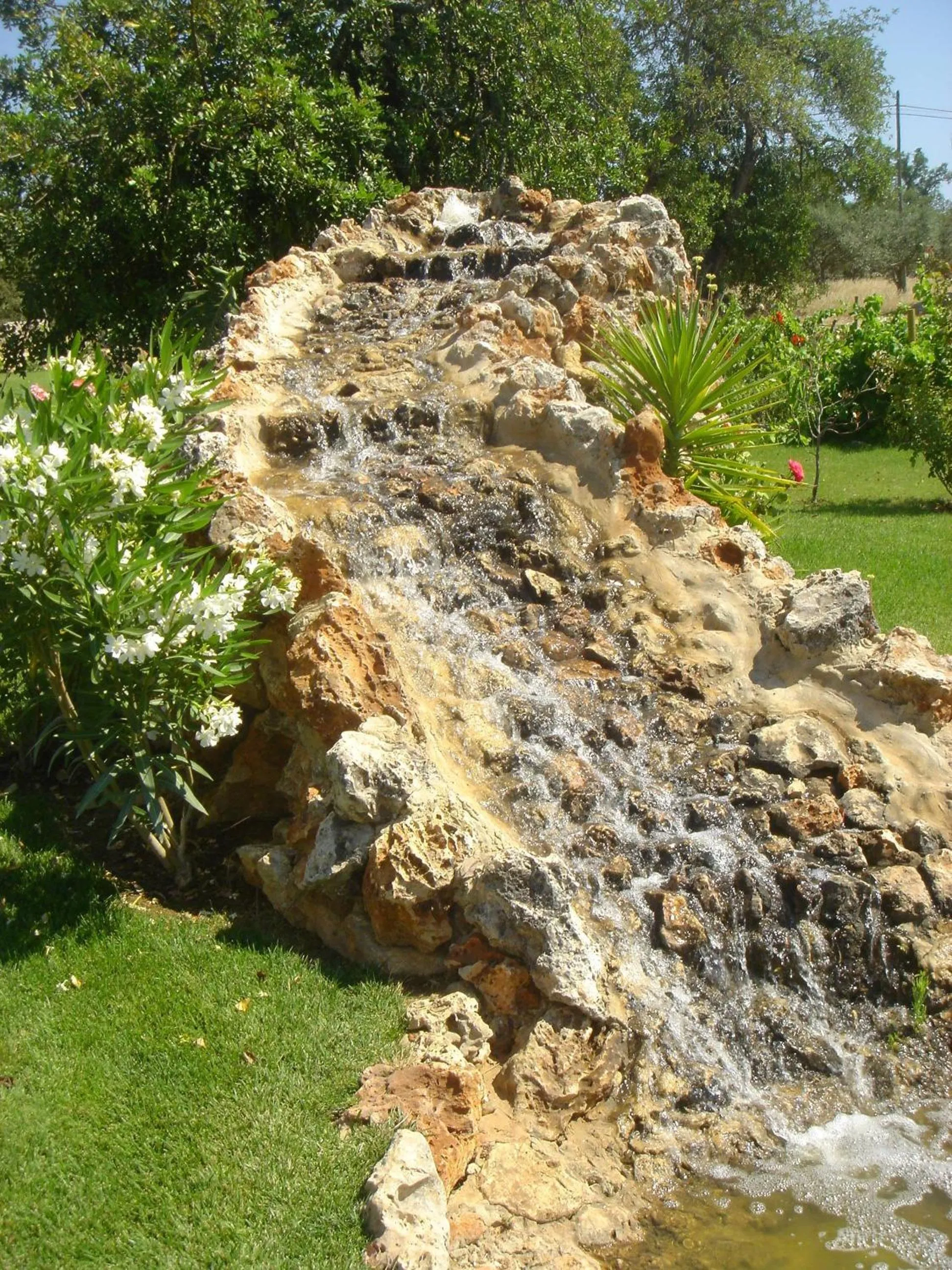 Spring in Quinta dos Tesouros