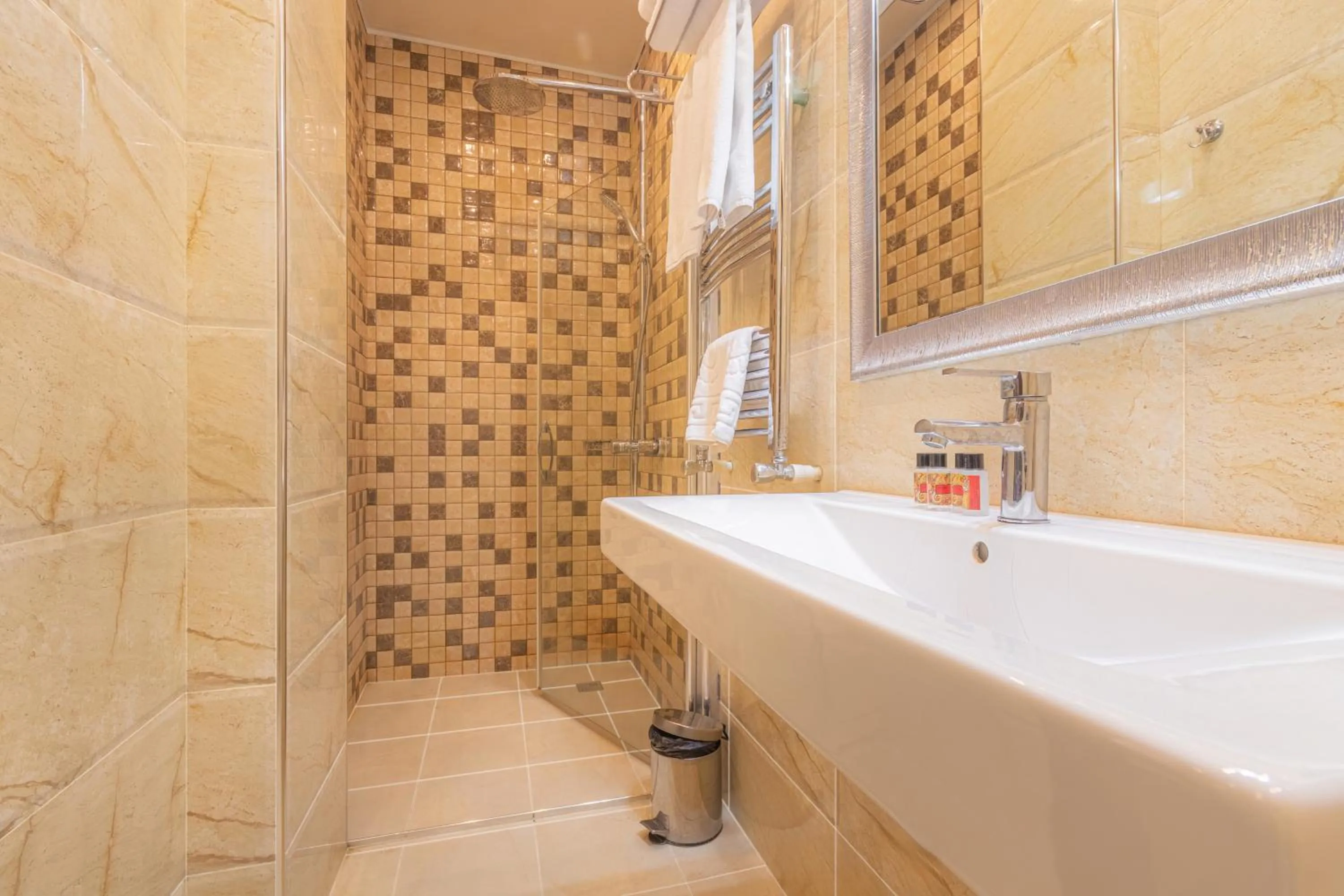 Shower in Maestro Hotel