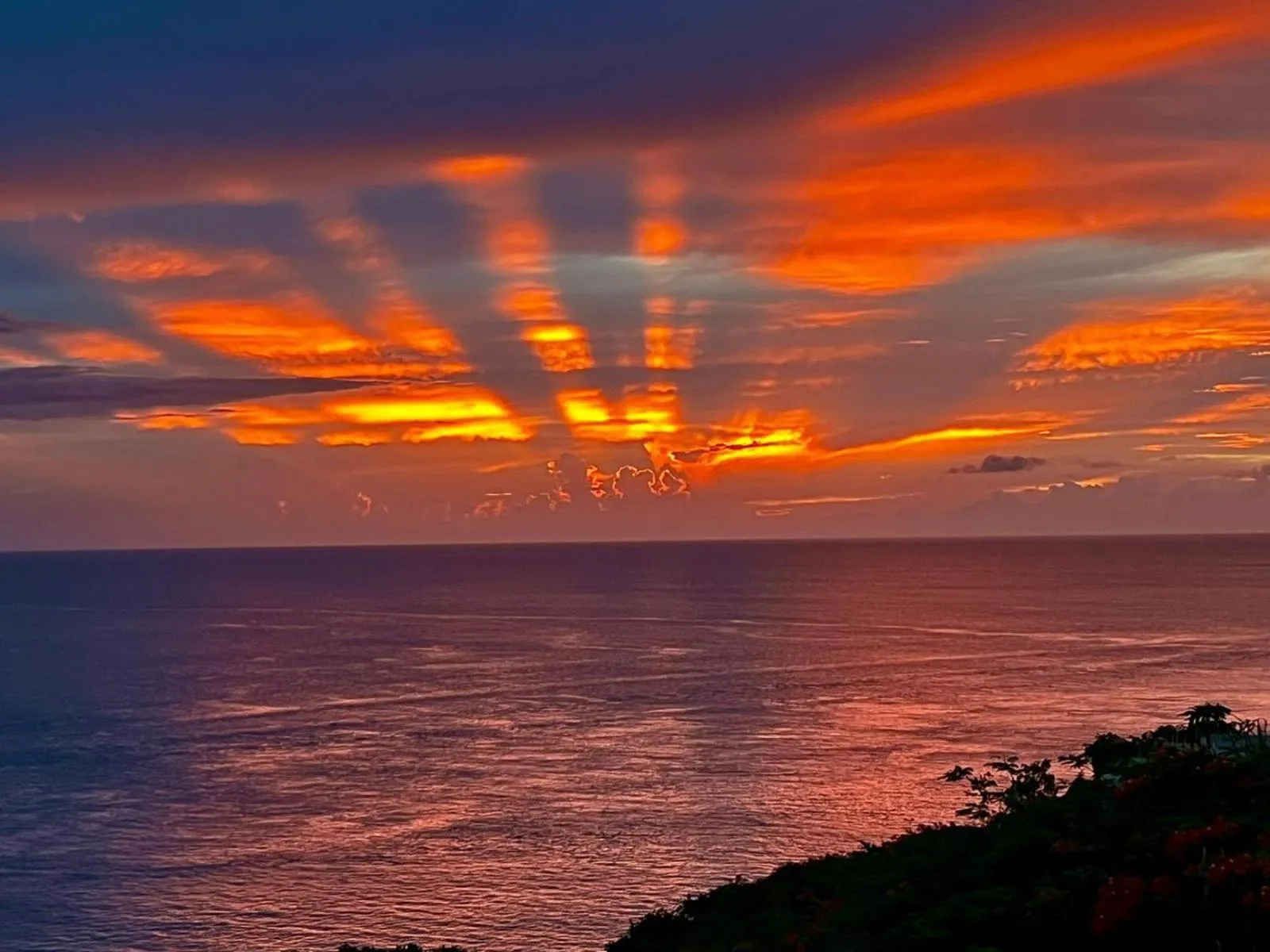 Natural landscape in Hotel Vista Azul