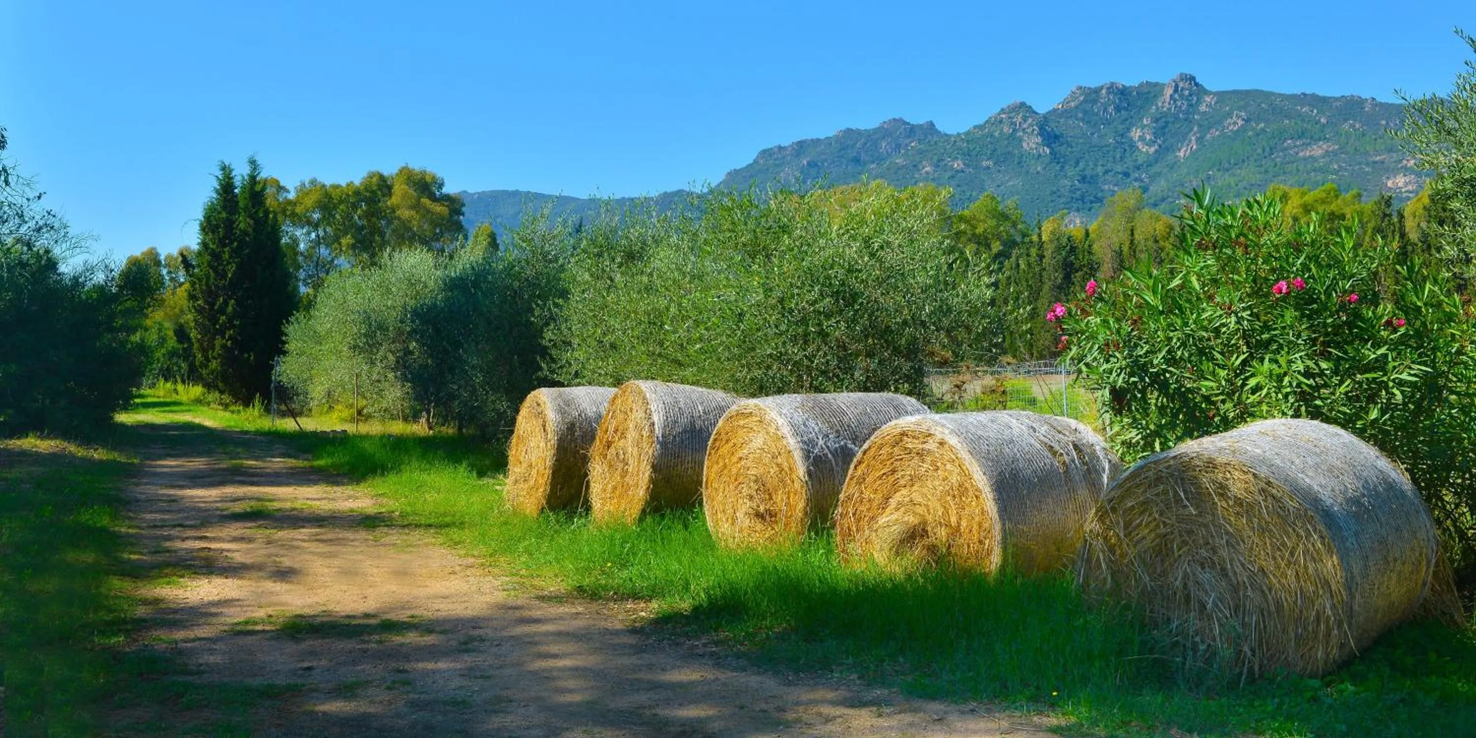 Street view in Hotel Rurale Orti di Nora & SPA
