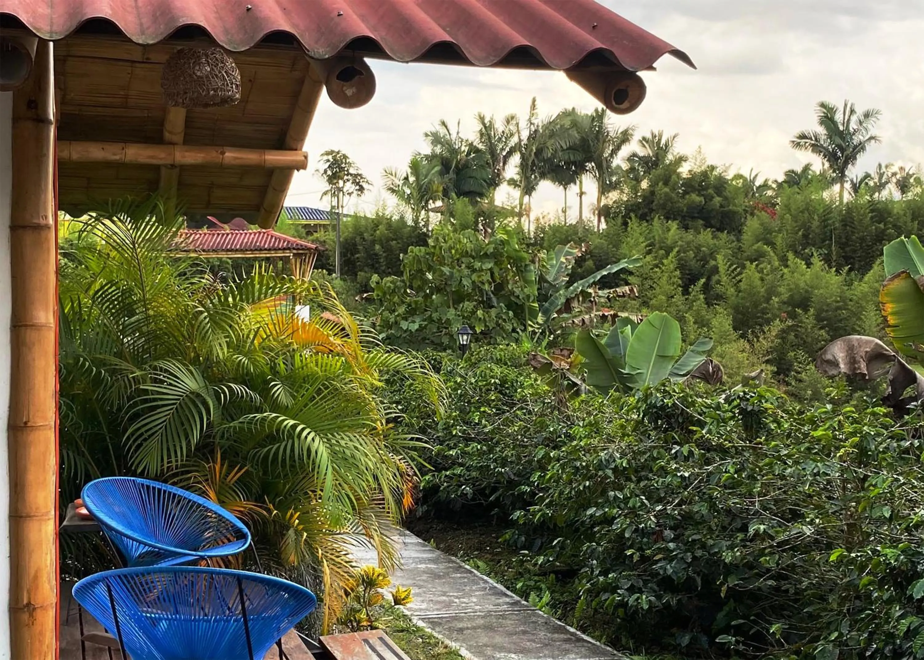 Cottage with Garden View in MuchoSur Filandia