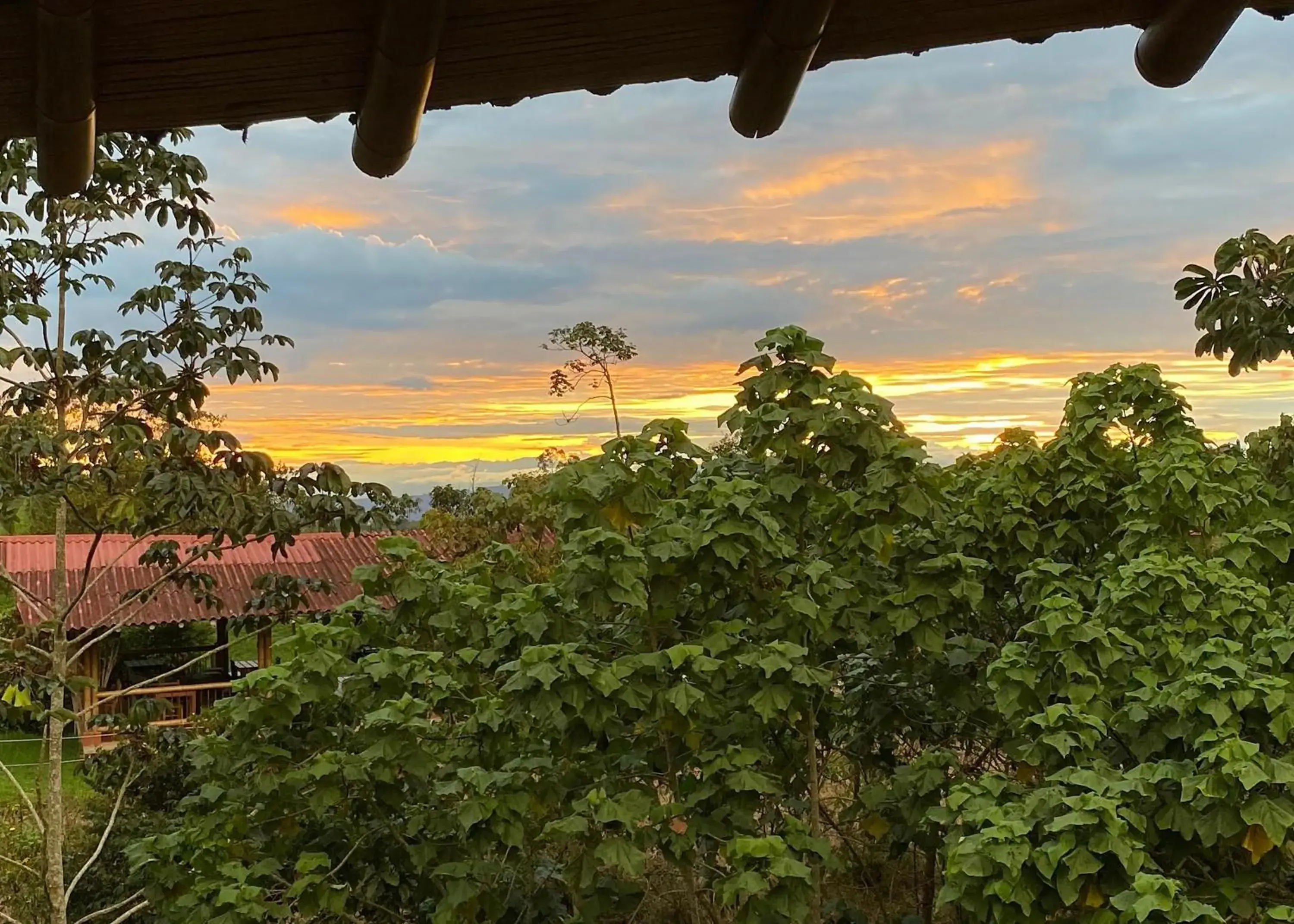 Double Room with Garden View in MuchoSur Filandia Double Room with Garden View in MuchoSur Filandia