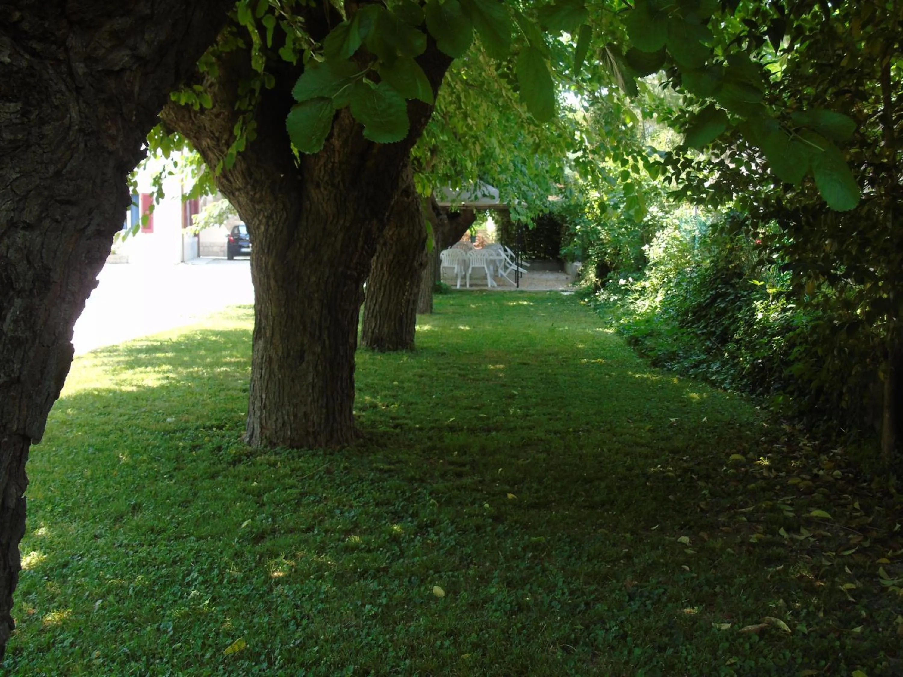 Garden view in Albergo Grifone 1891