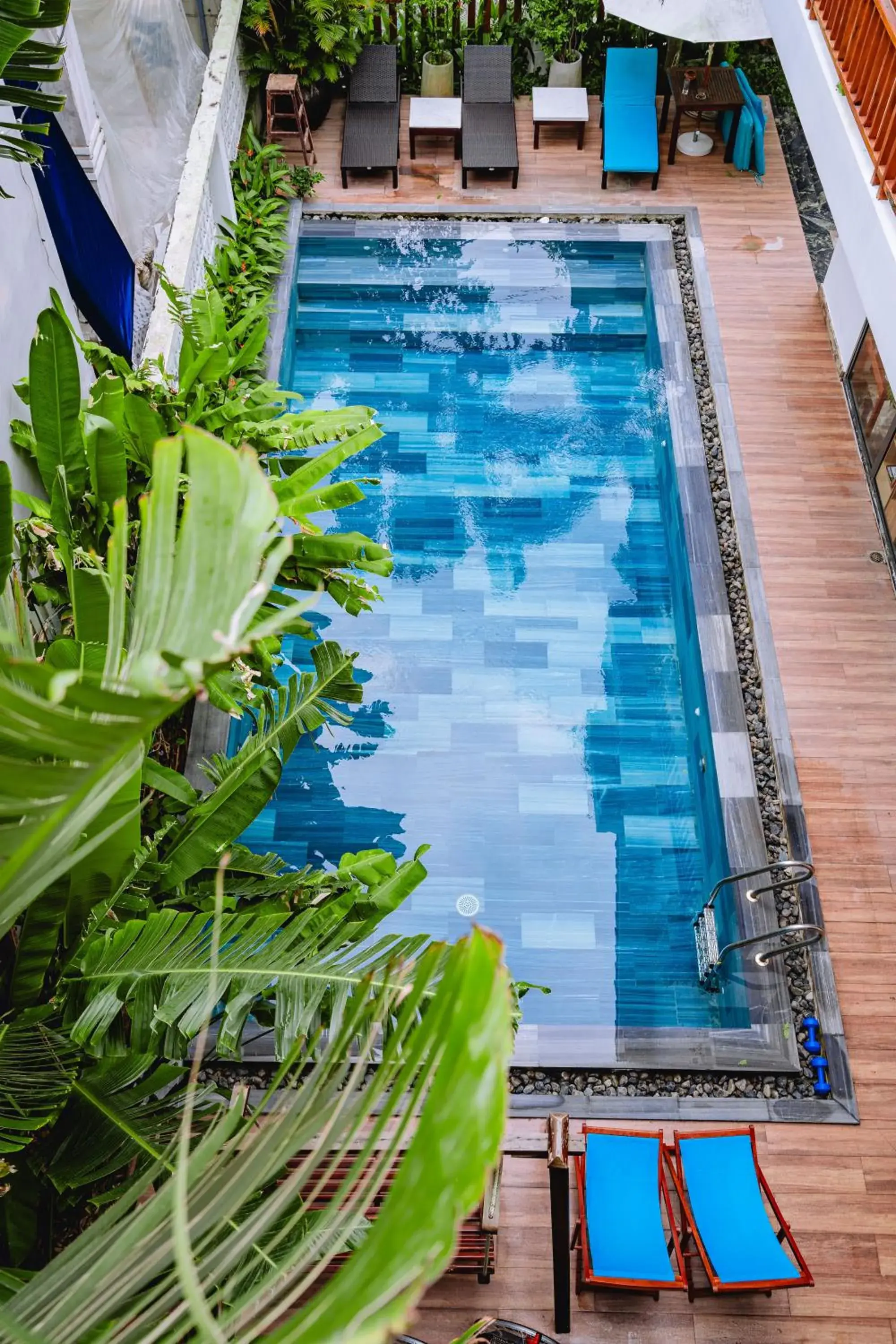 Swimming pool in Palm Riverside Boutique Swimming pool in Palm Riverside Boutique