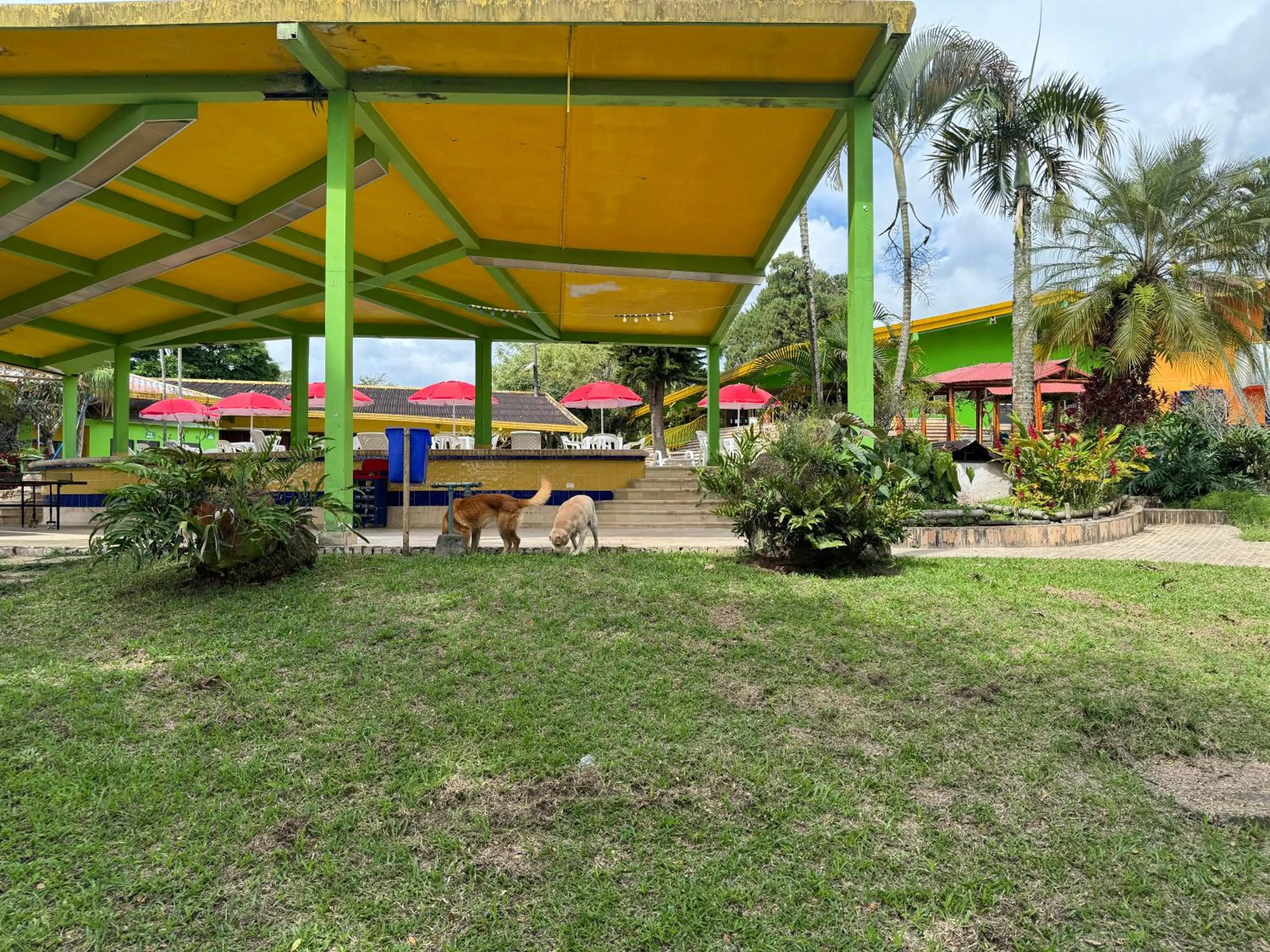 Spring in Ecohotel La Casona Pereira