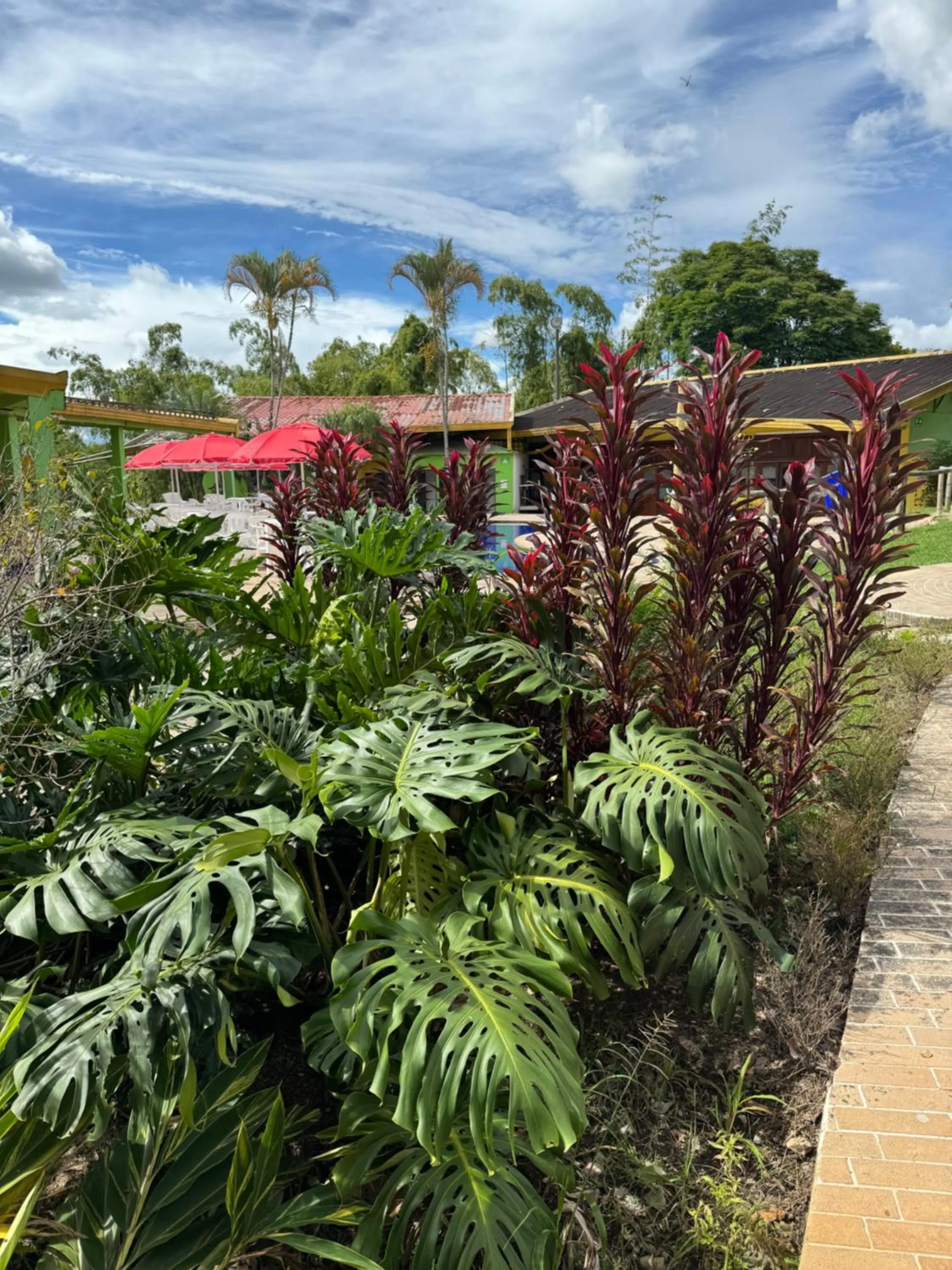 Spring in Ecohotel La Casona Pereira