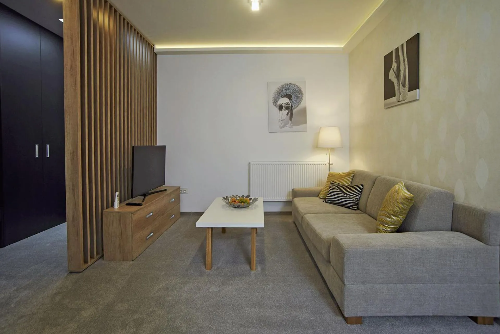 TV and multimedia in Privilege Apartments