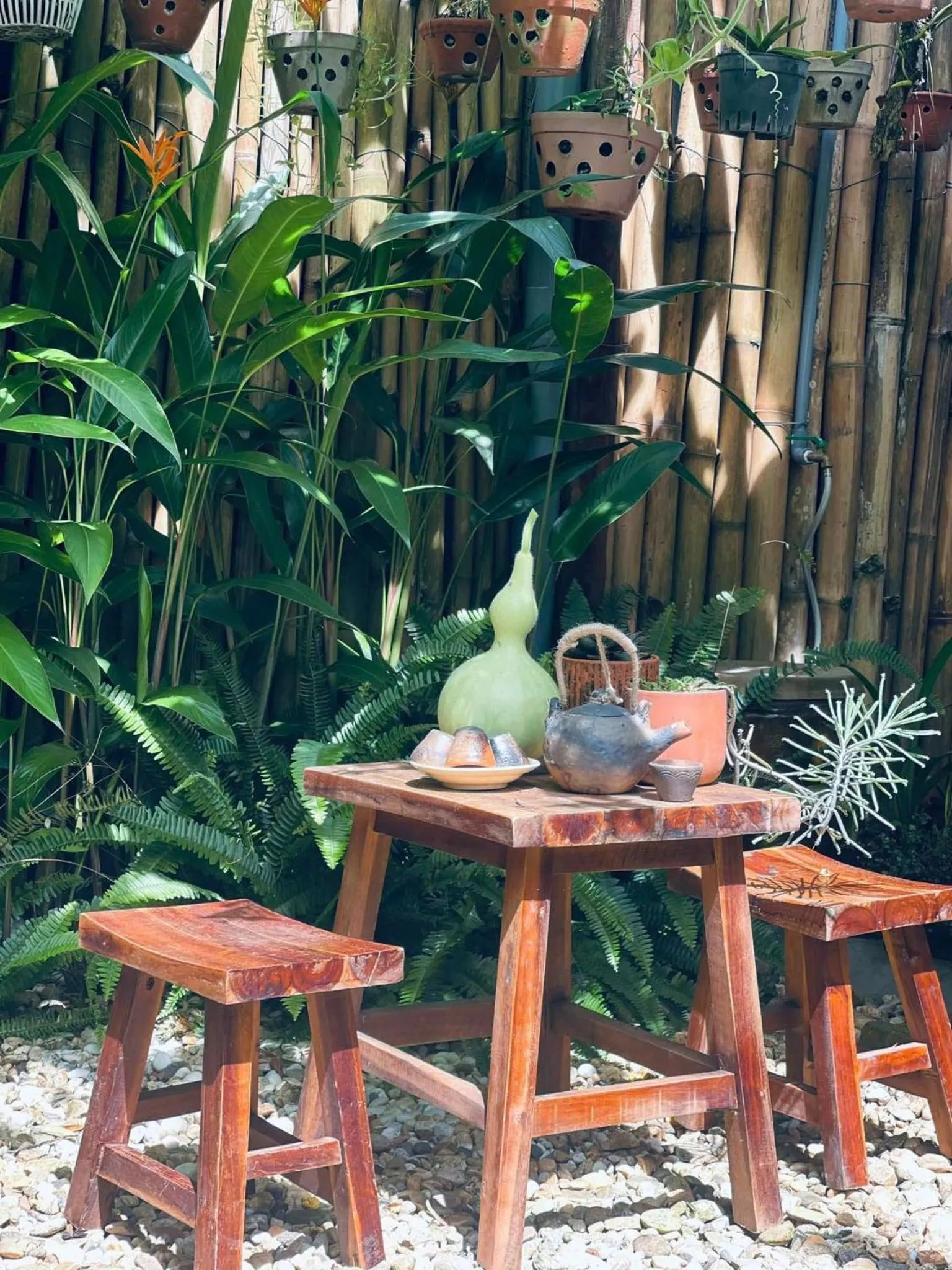 Garden in Ôna's House - Homestay Pleiku