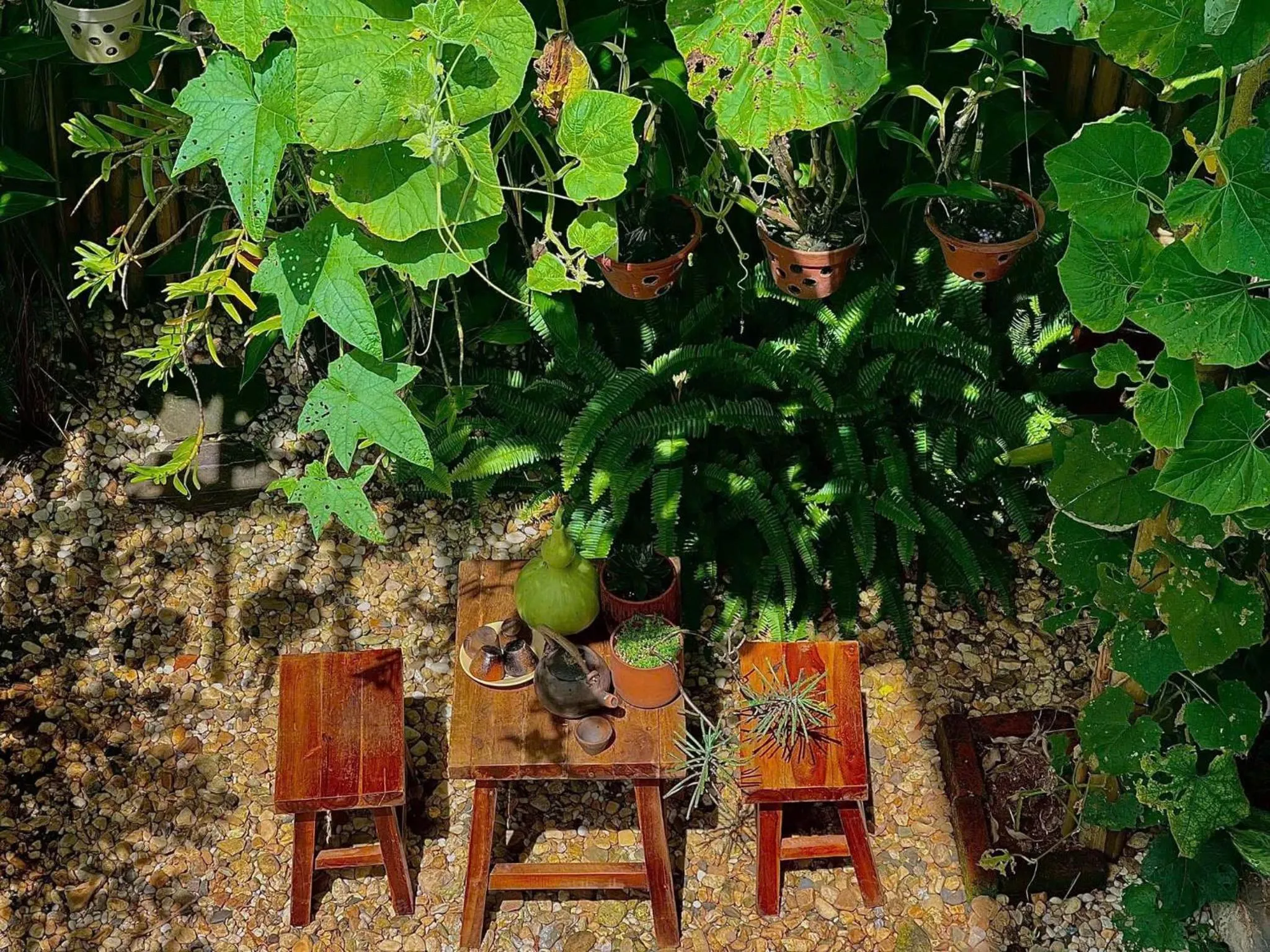 Garden in Ôna's House - Homestay Pleiku