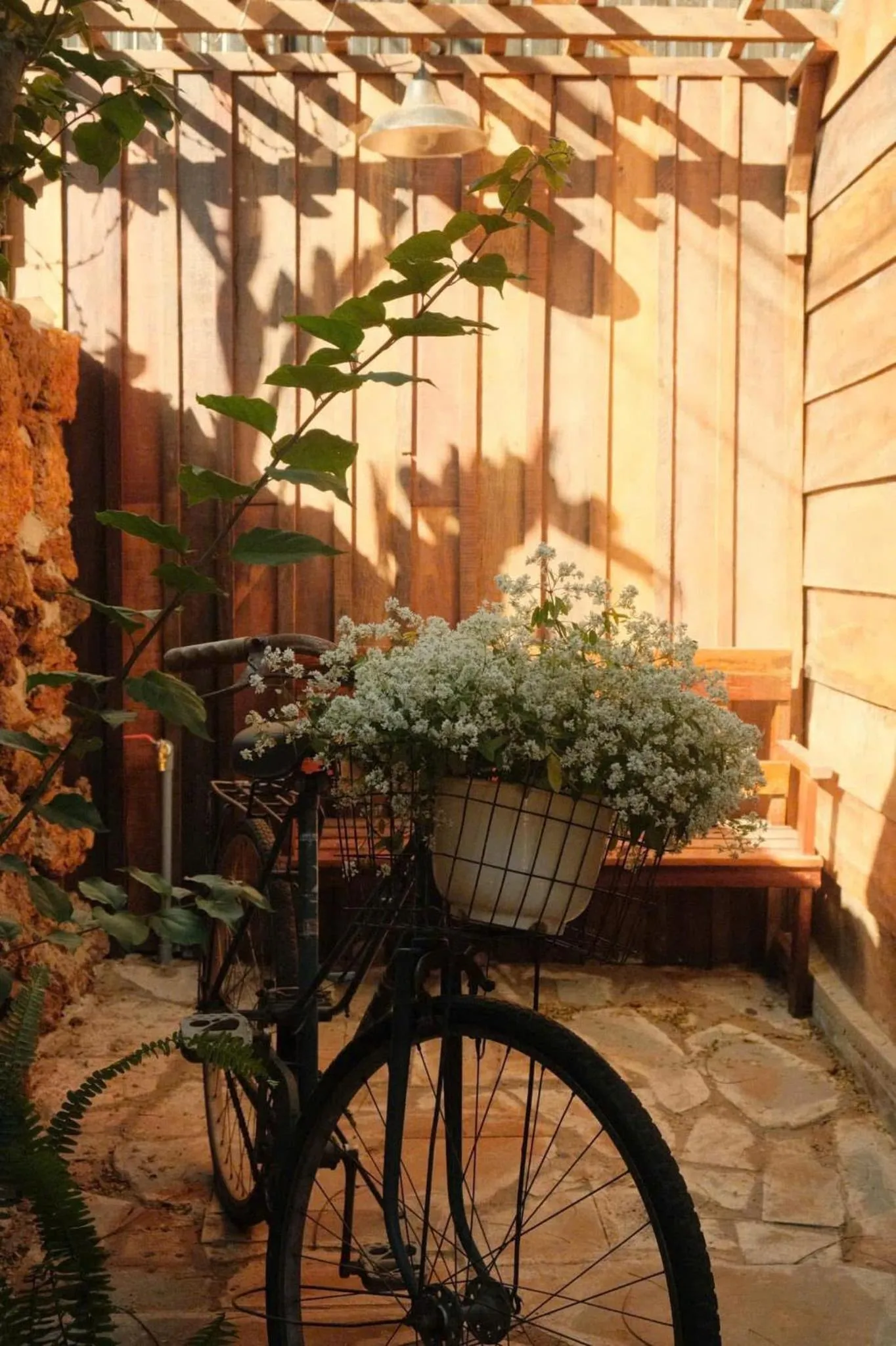 Garden in Ôna's House - Homestay Pleiku