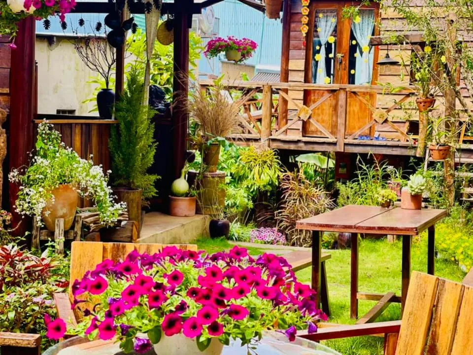 Garden in Ôna's House - Homestay Pleiku