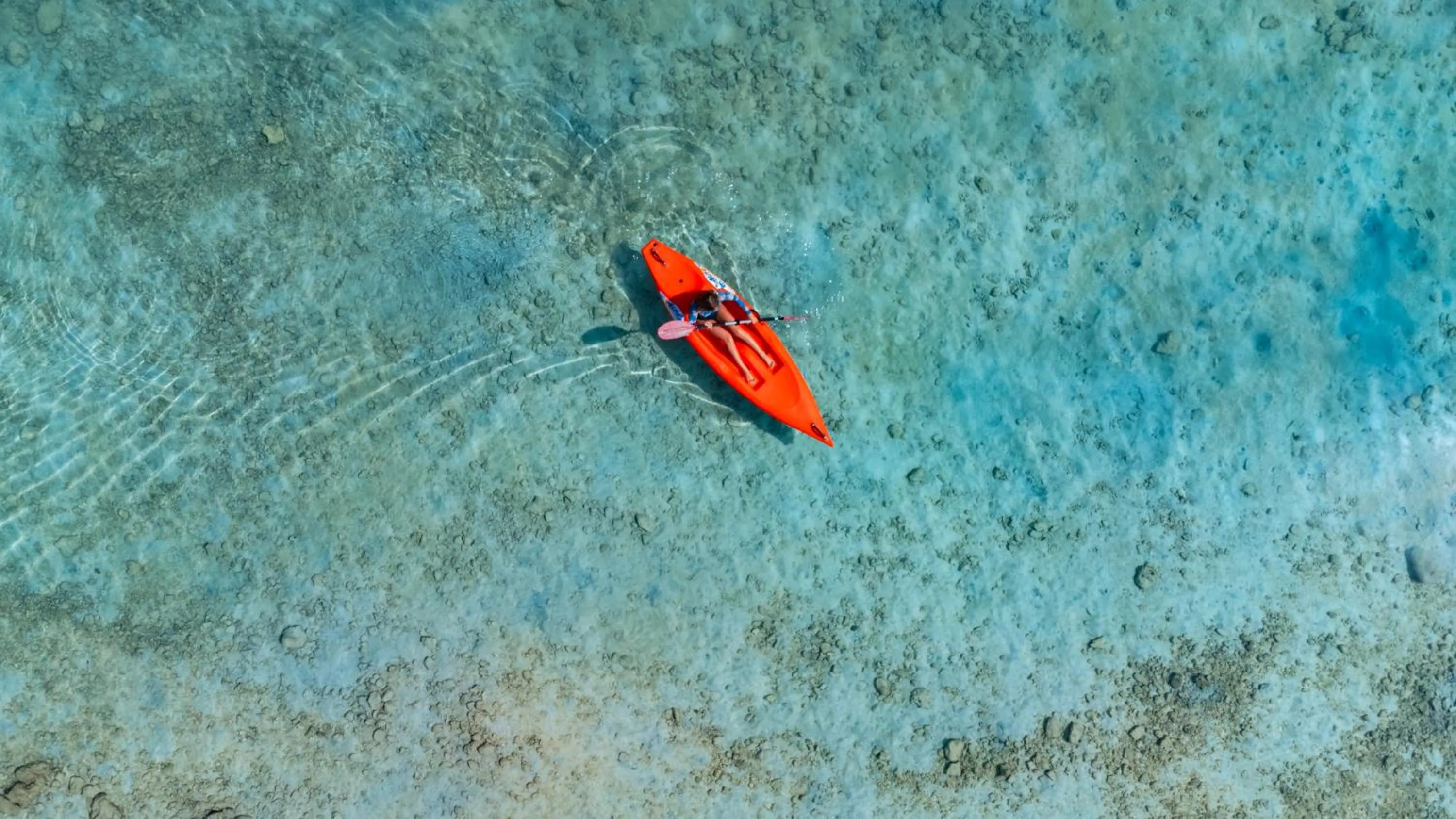 Natural landscape in NH Maldives Kuda Rah Resort