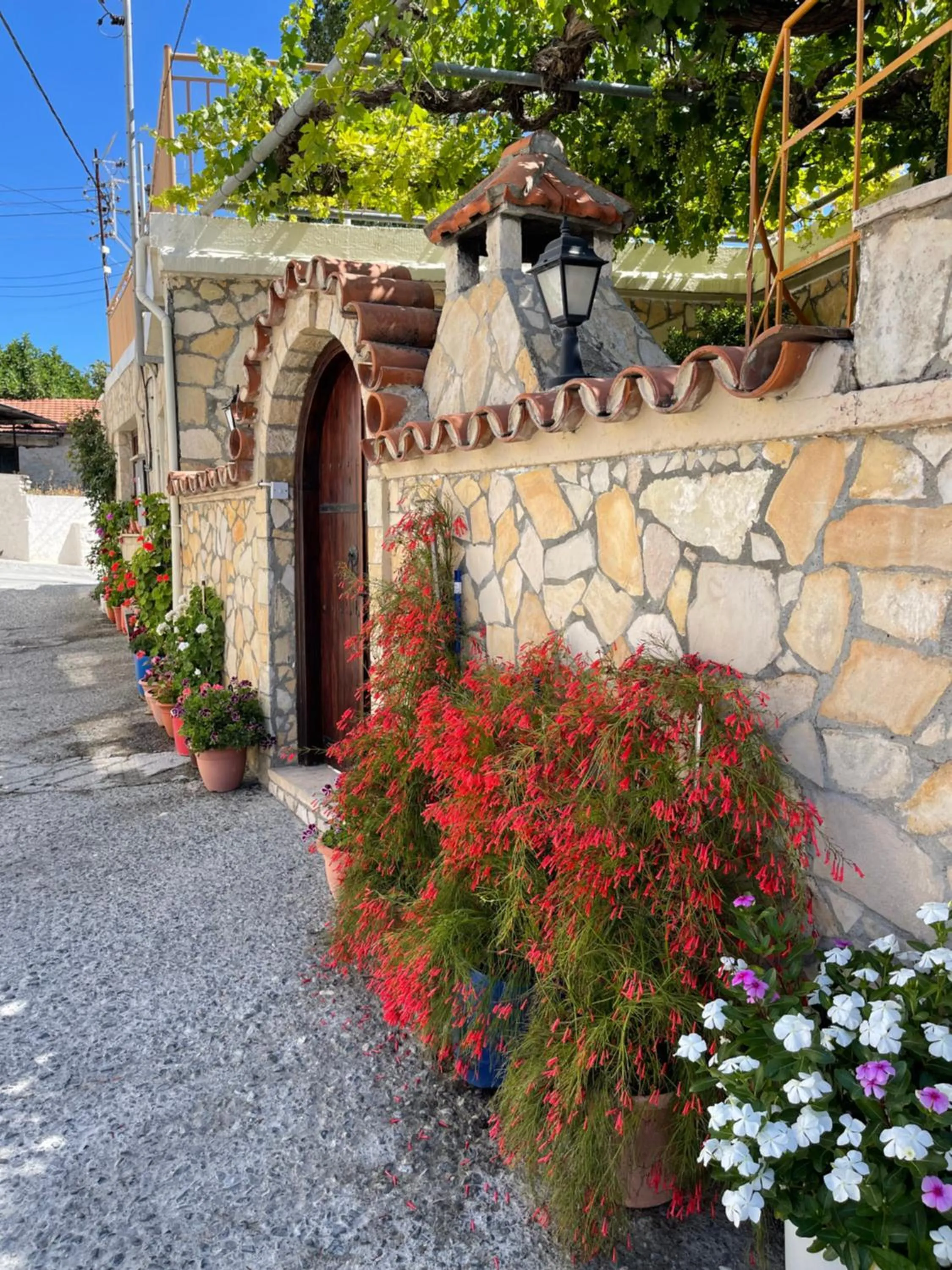 Facade/entrance in Omodos Village Houses
