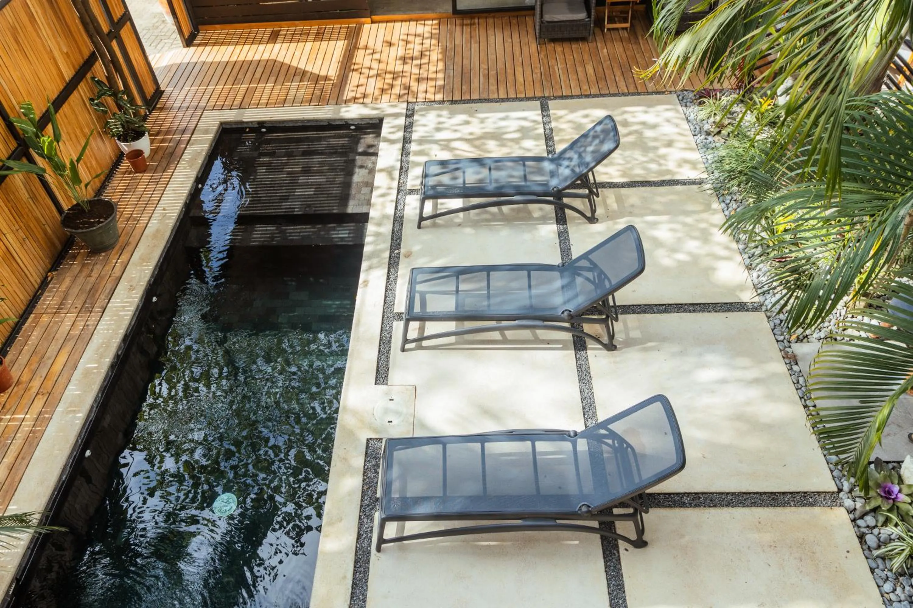 Swimming pool in Casa Swell Boutique Hotel Santa Teresa