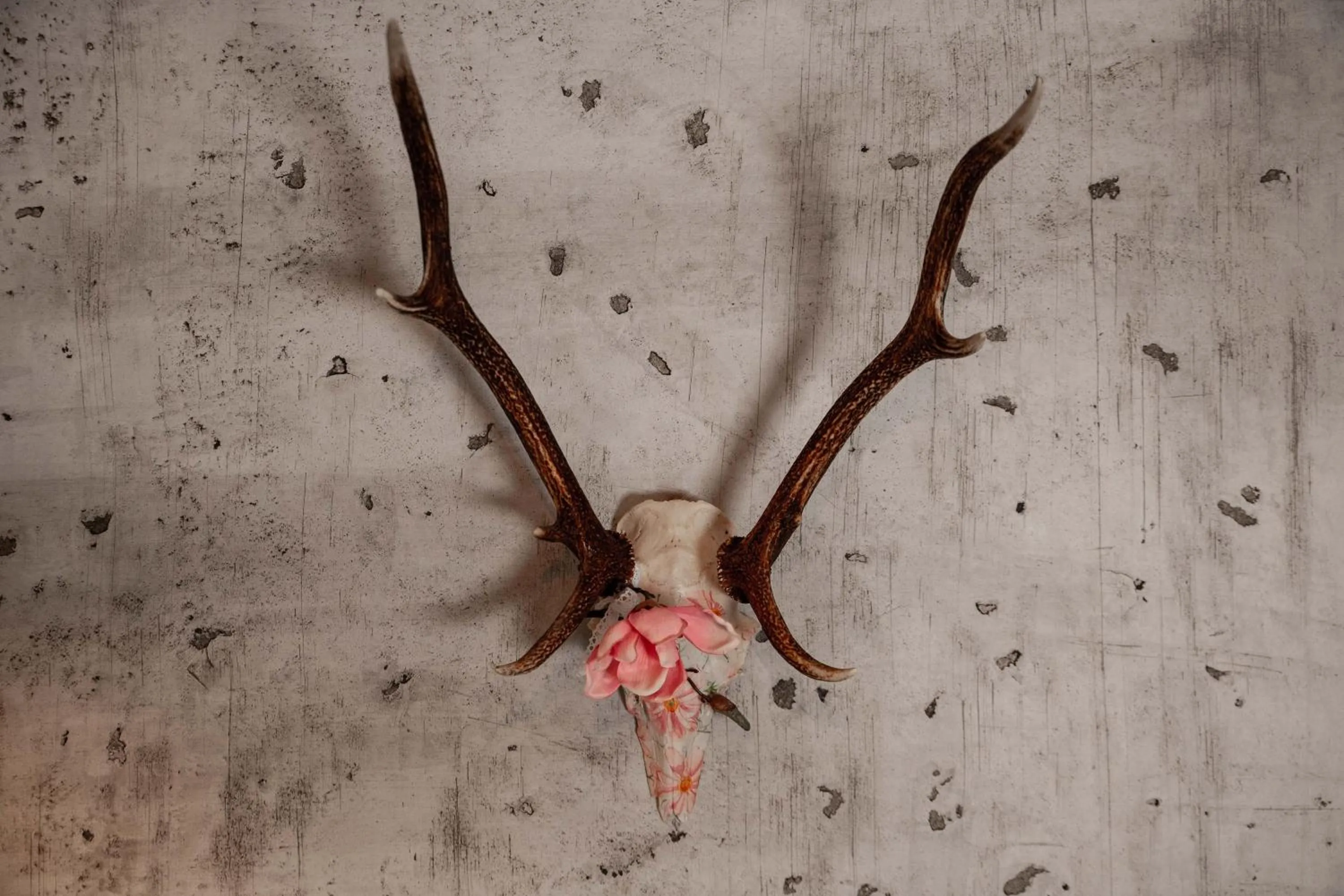 Decorative detail in Genusshotel Hirschen - Erholung im Grünen (Südschwarzwald)