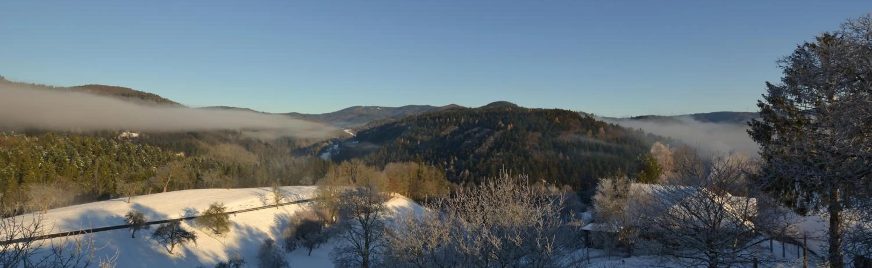 Photo of the whole room in Genusshotel Hirschen - Erholung im Grünen (Südschwarzwald)