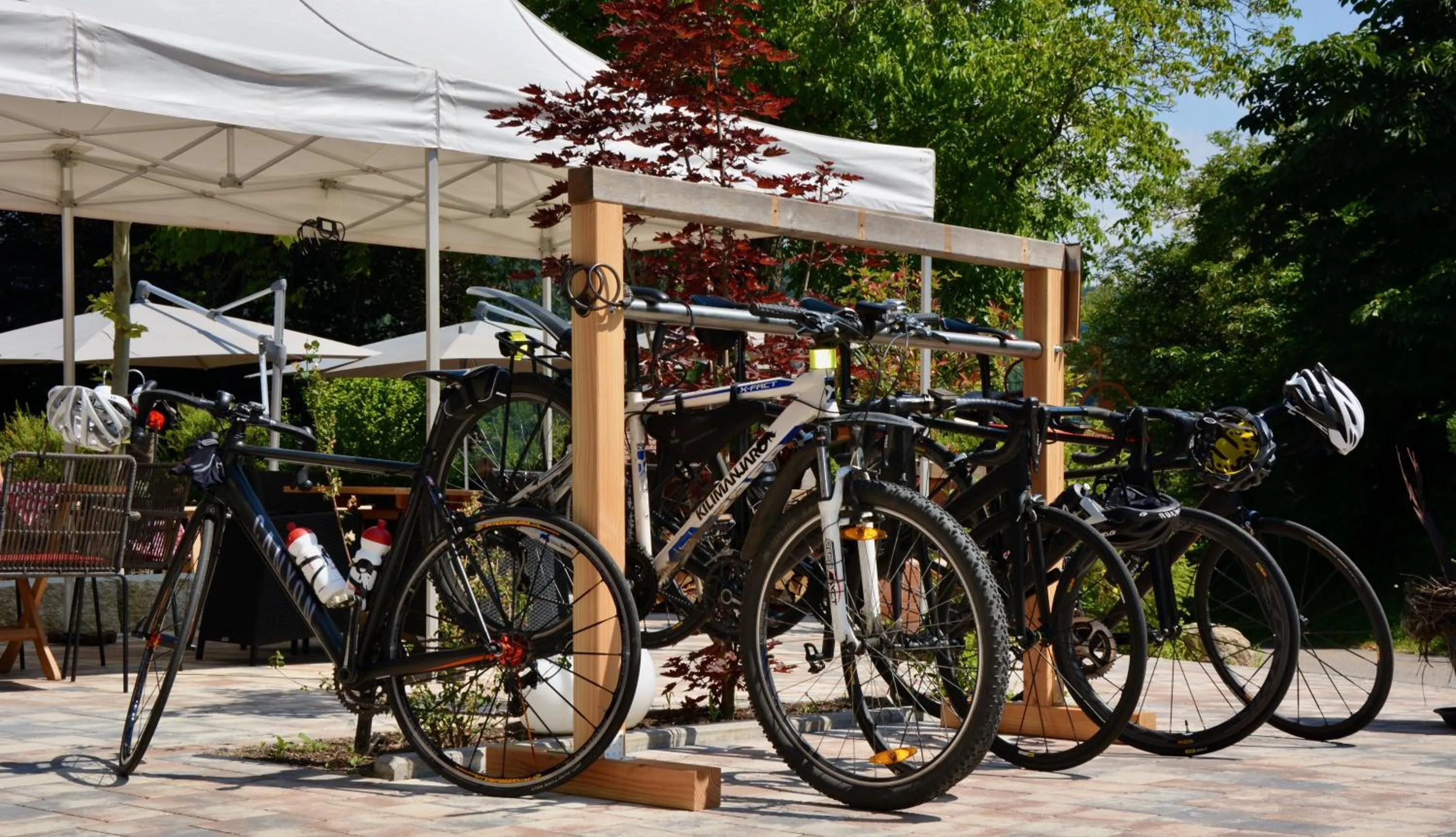 Activities in Genusshotel Hirschen - Erholung im Grünen (Südschwarzwald)