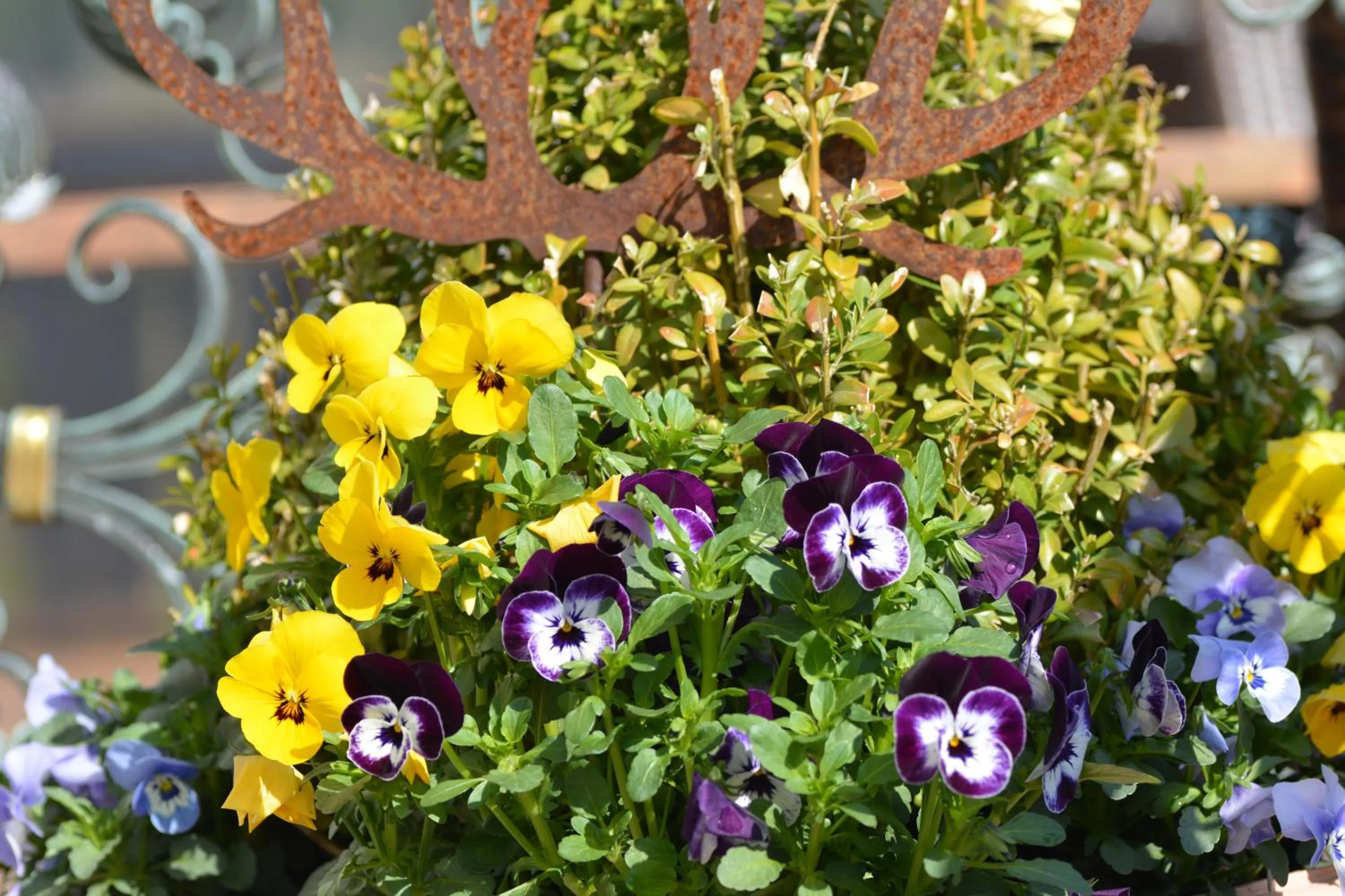 children in Genusshotel Hirschen - Erholung im Grünen (Südschwarzwald)